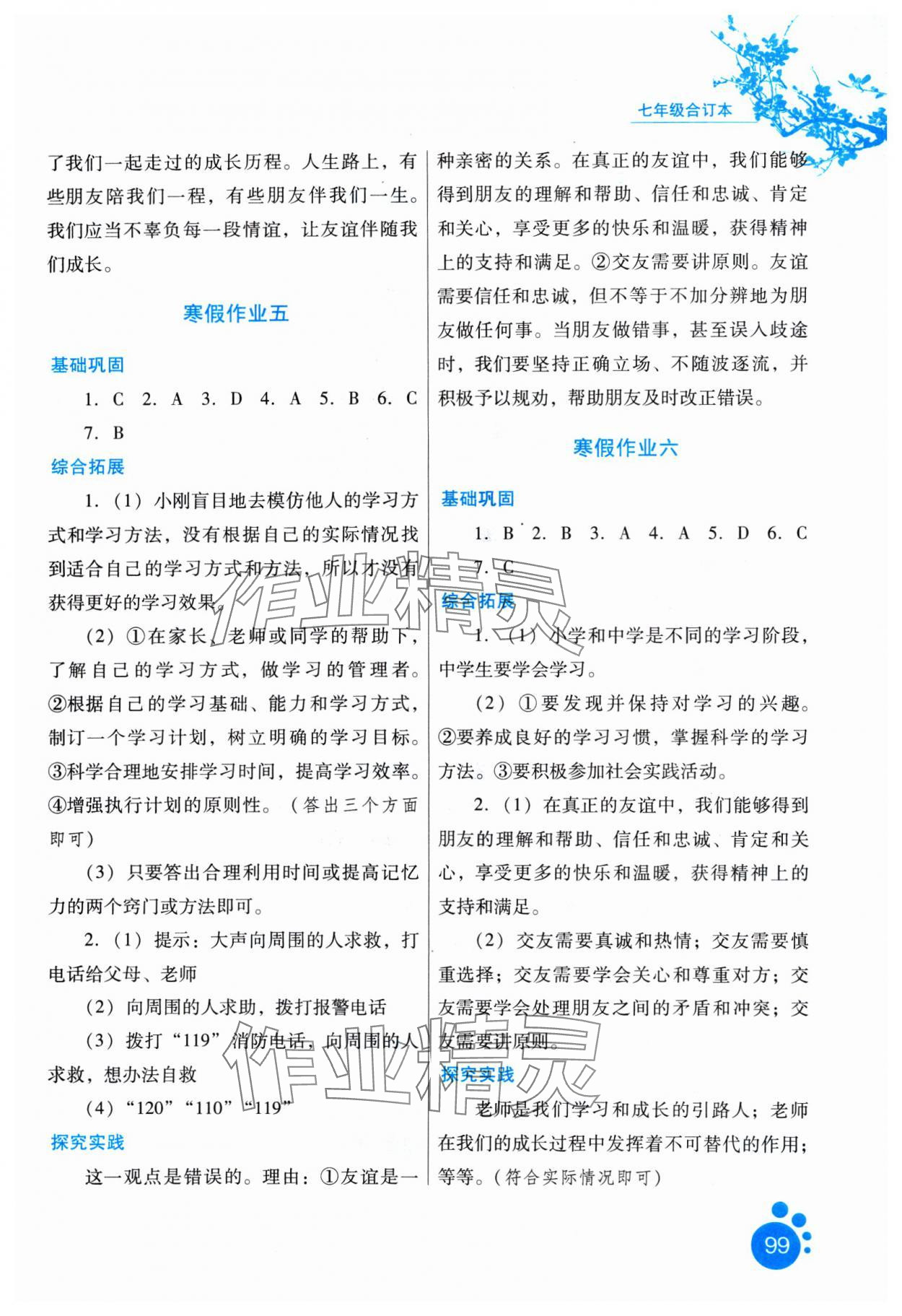 2025年寒假生活七年級(jí)合訂本河北少年兒童出版社 第3頁(yè)