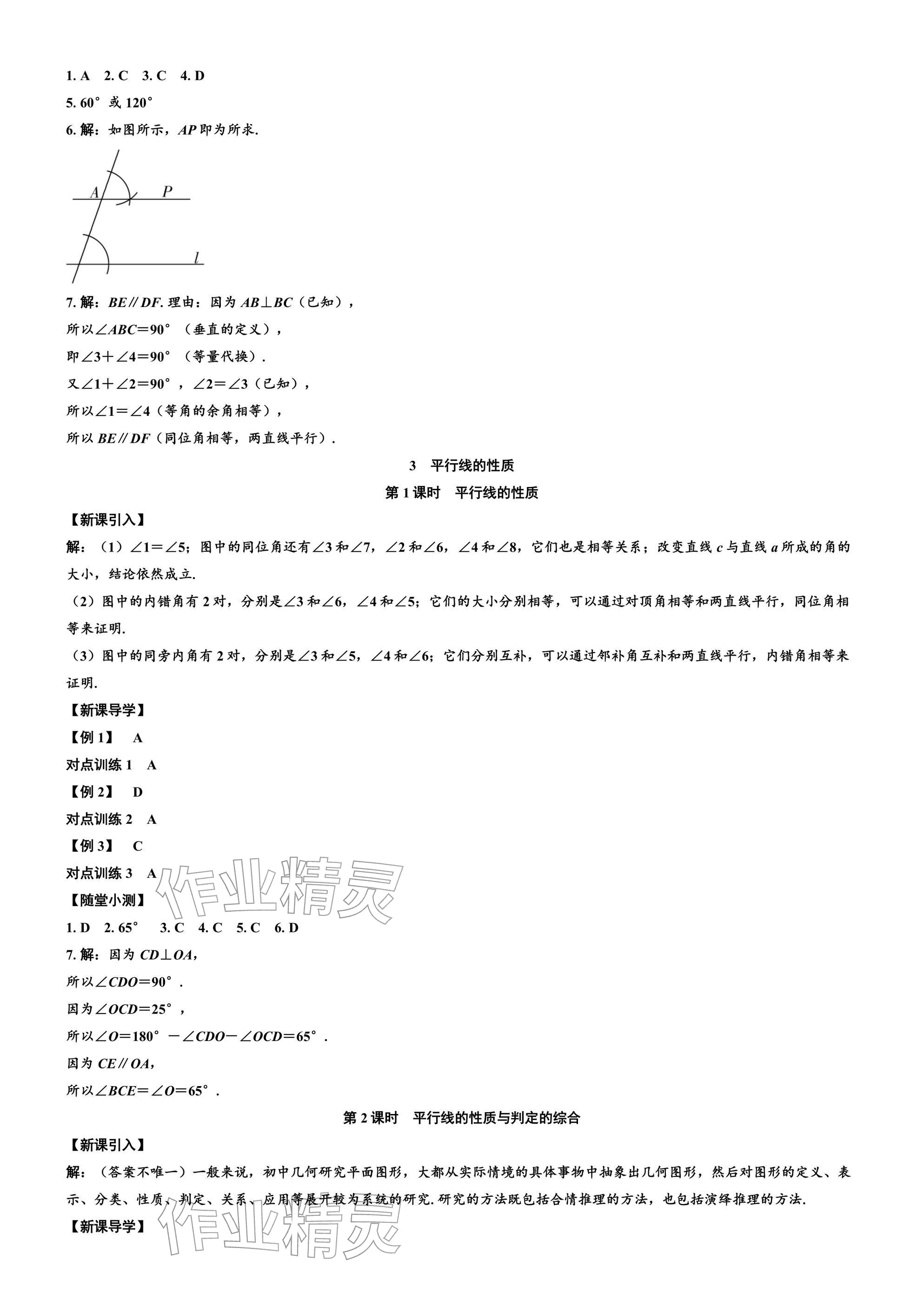 2026年广东名师讲练通七年级数学下册北师大版深圳专版&nbsp;参考答案第19页