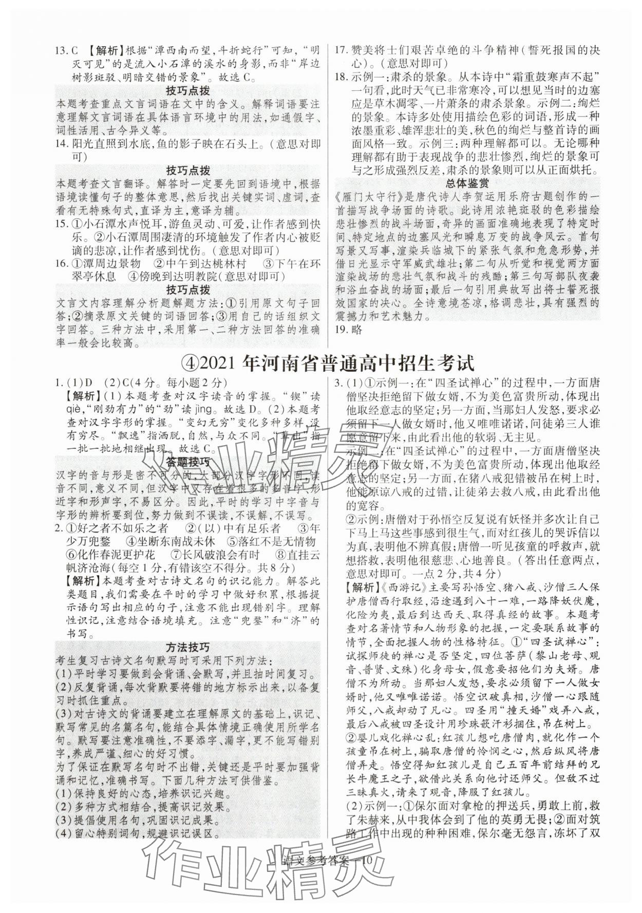 2025年澤睿文化真題匯編卷語文中考河南專版 參考答案第10頁