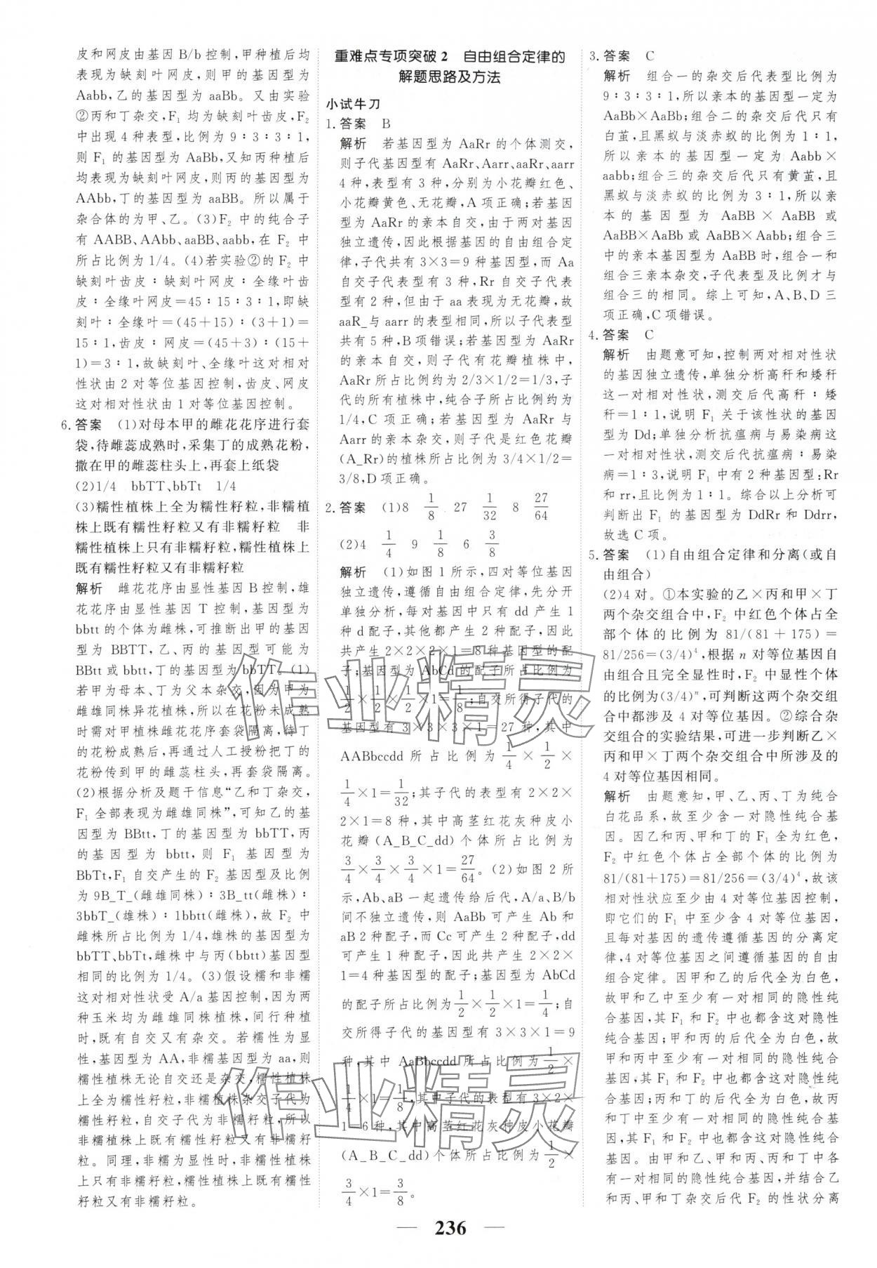 2025年新教材同步學案高考調研生物必修2人教版 第6頁