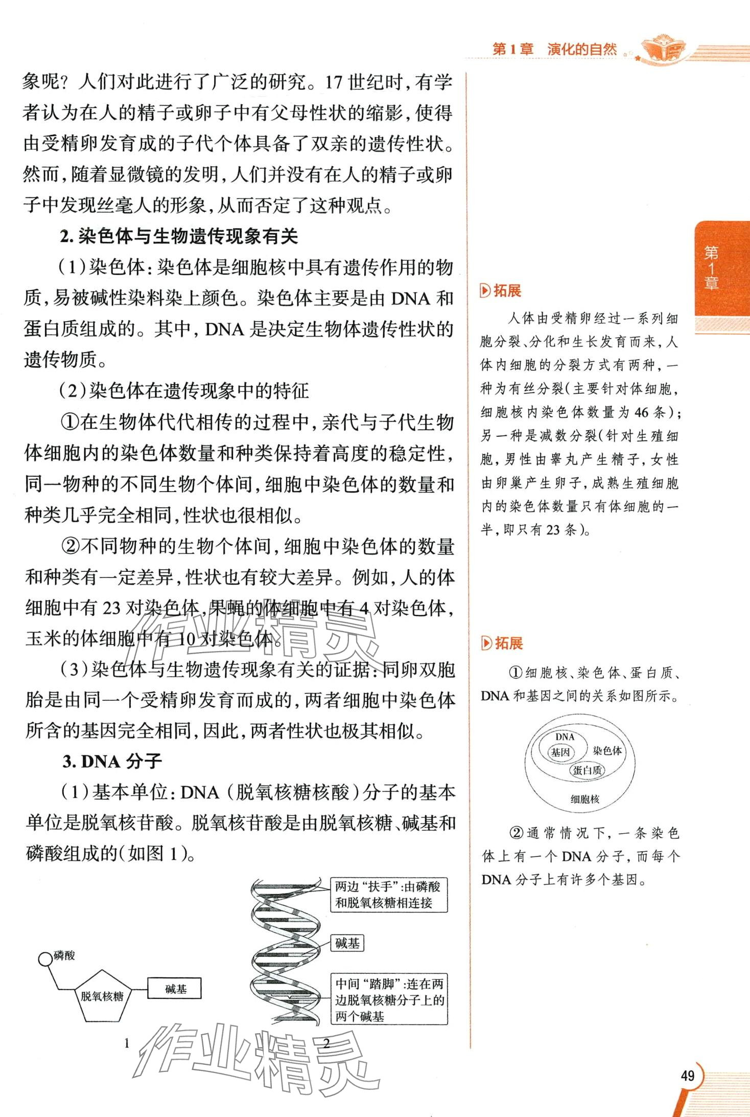 2024年教材全解九年級科學下冊浙教版 第49頁