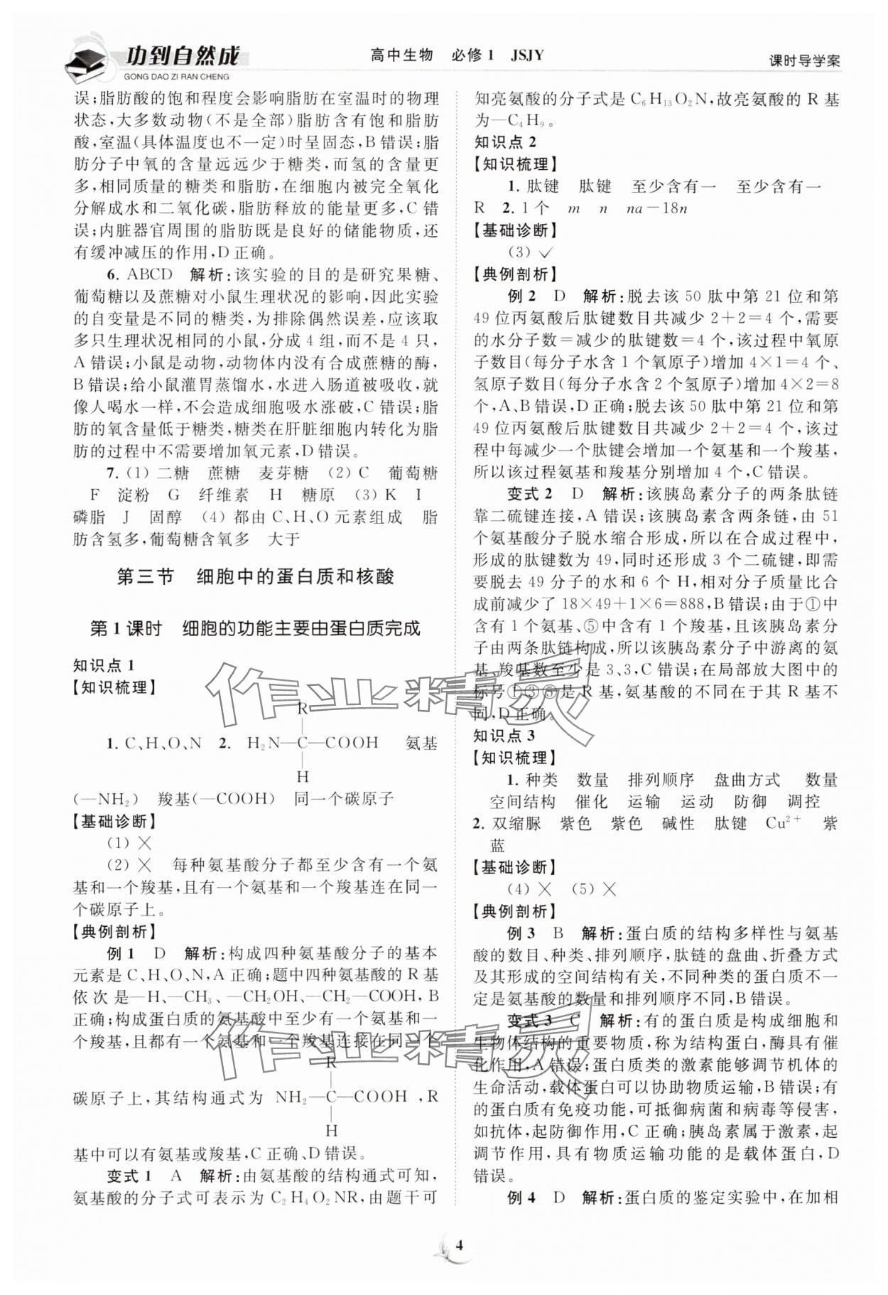 2023年功到自然成課時(shí)導(dǎo)學(xué)案高中生物必修1蘇教版 第4頁