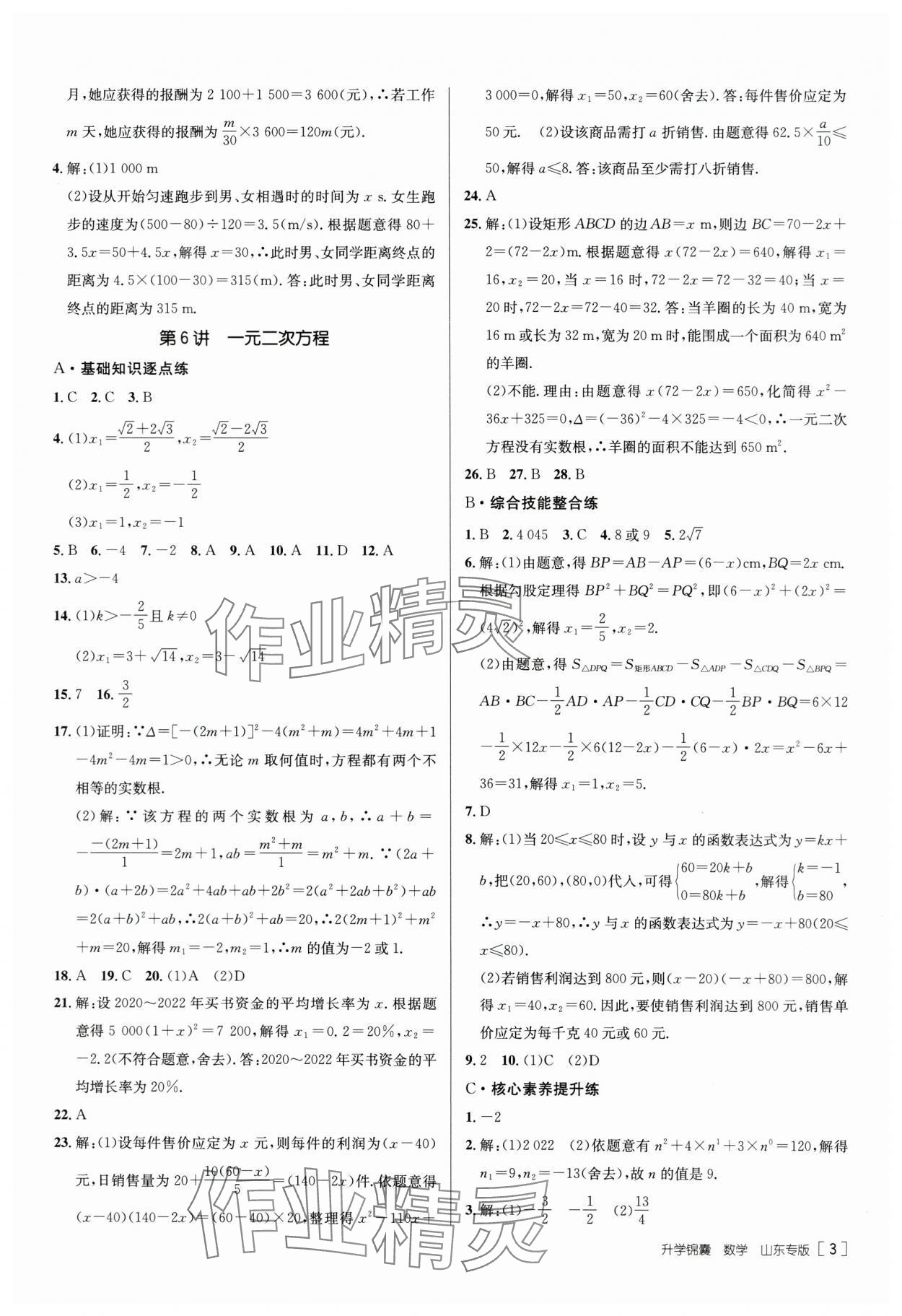 2024年升学锦囊数学山东专版 第3页