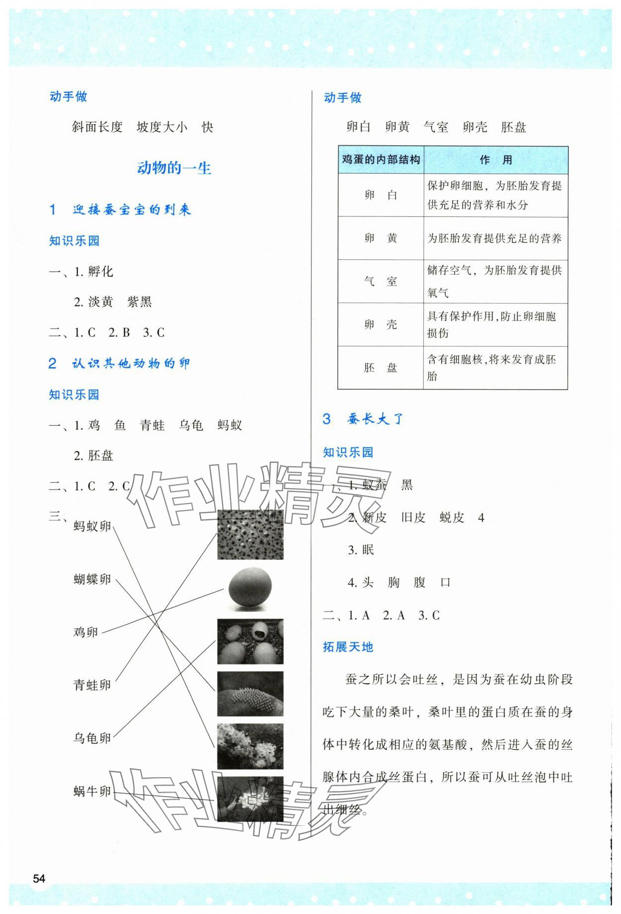 2024年新課程學(xué)習(xí)與評價(jià)三年級科學(xué)下冊教科版 參考答案第3頁