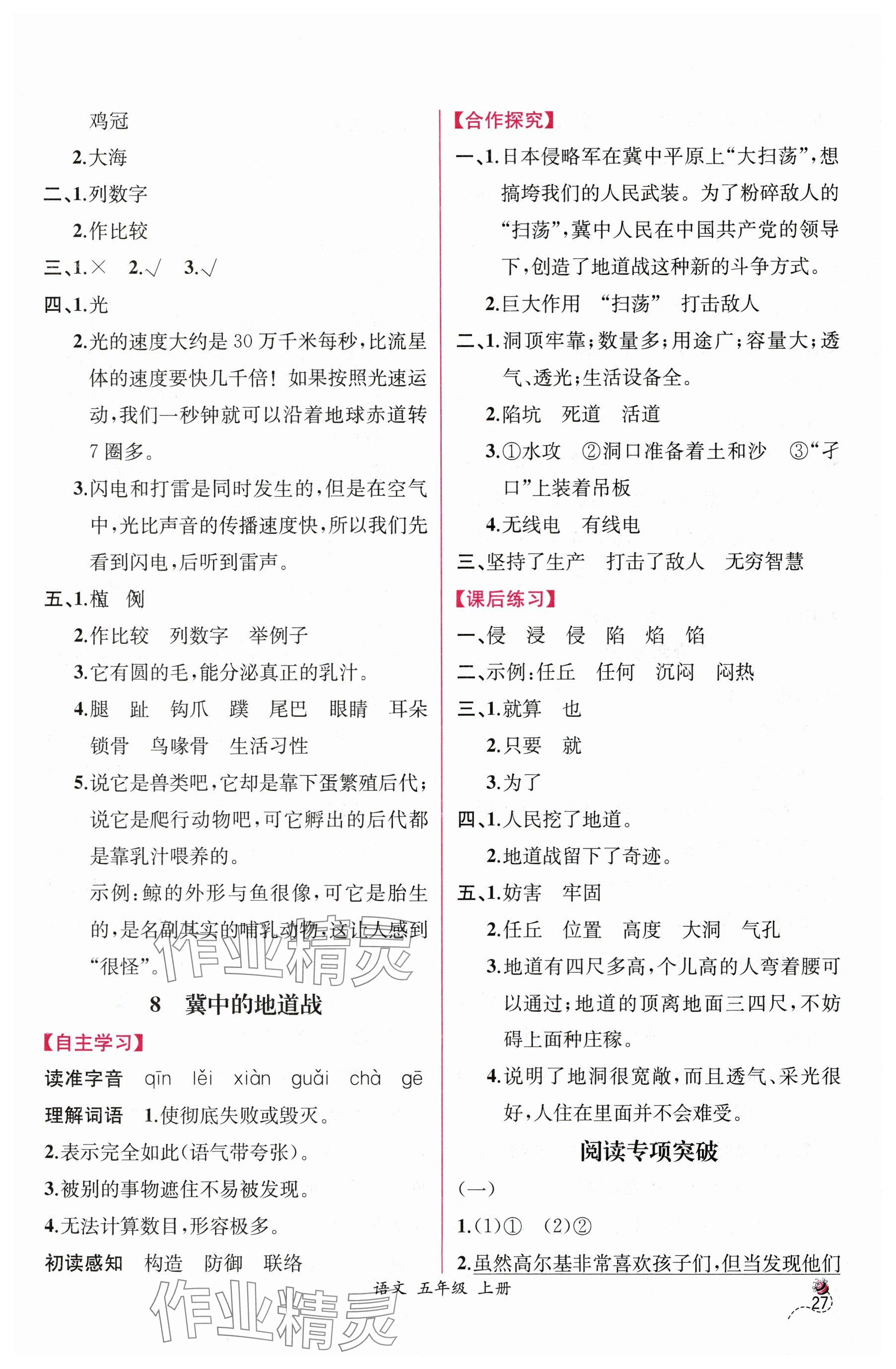 2025年課時練人民教育出版社五年級語文上冊人教版 參考答案第7頁