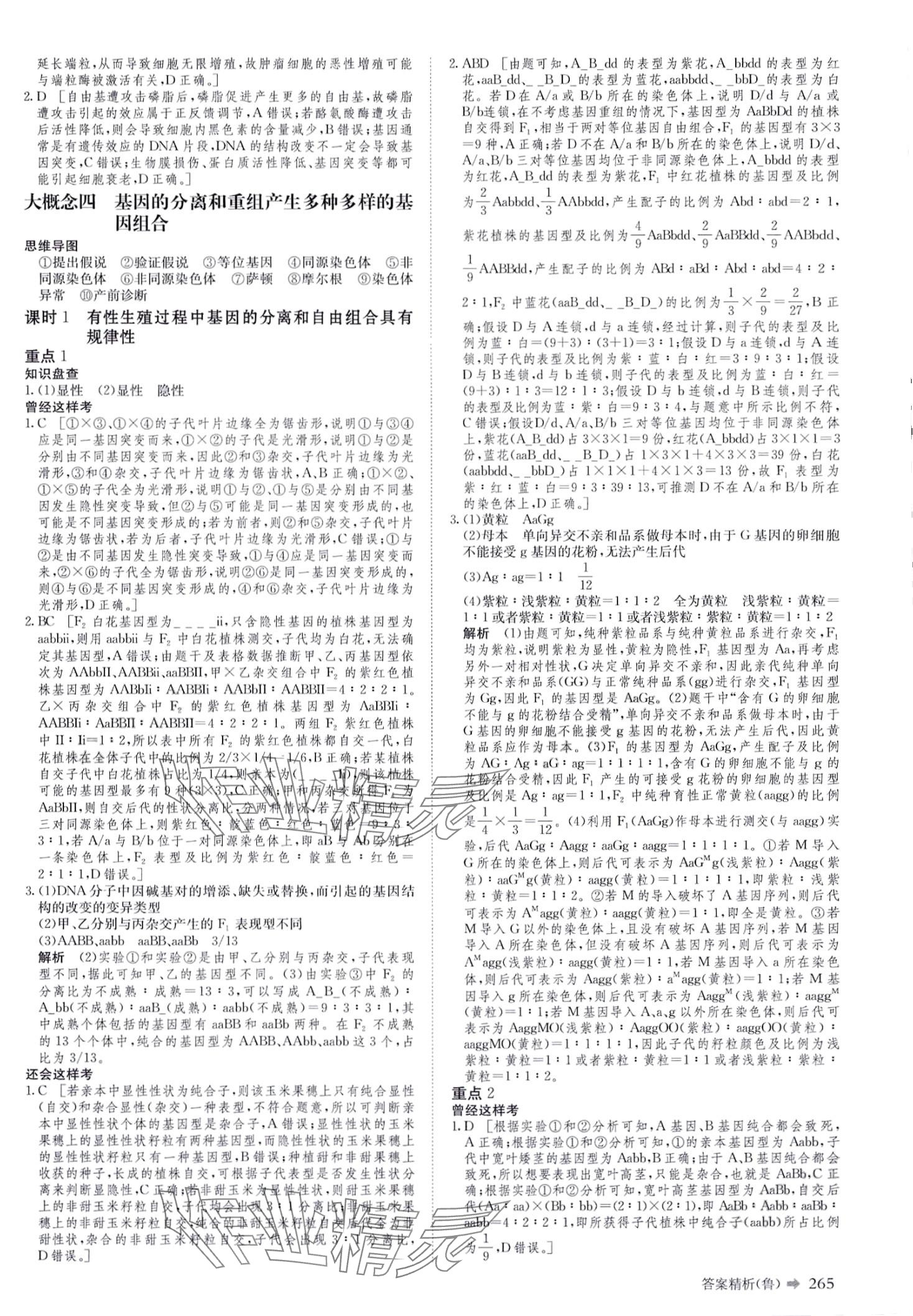 2024年創(chuàng)新設計二輪專題復習高三二輪生物 第10頁