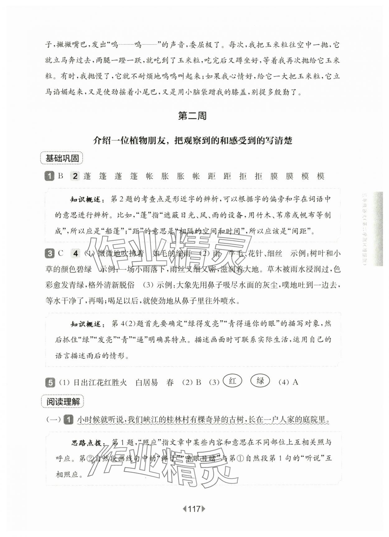 2025年華東師大版一課一練三年級語文下冊人教版增強版五四制 參考答案第3頁