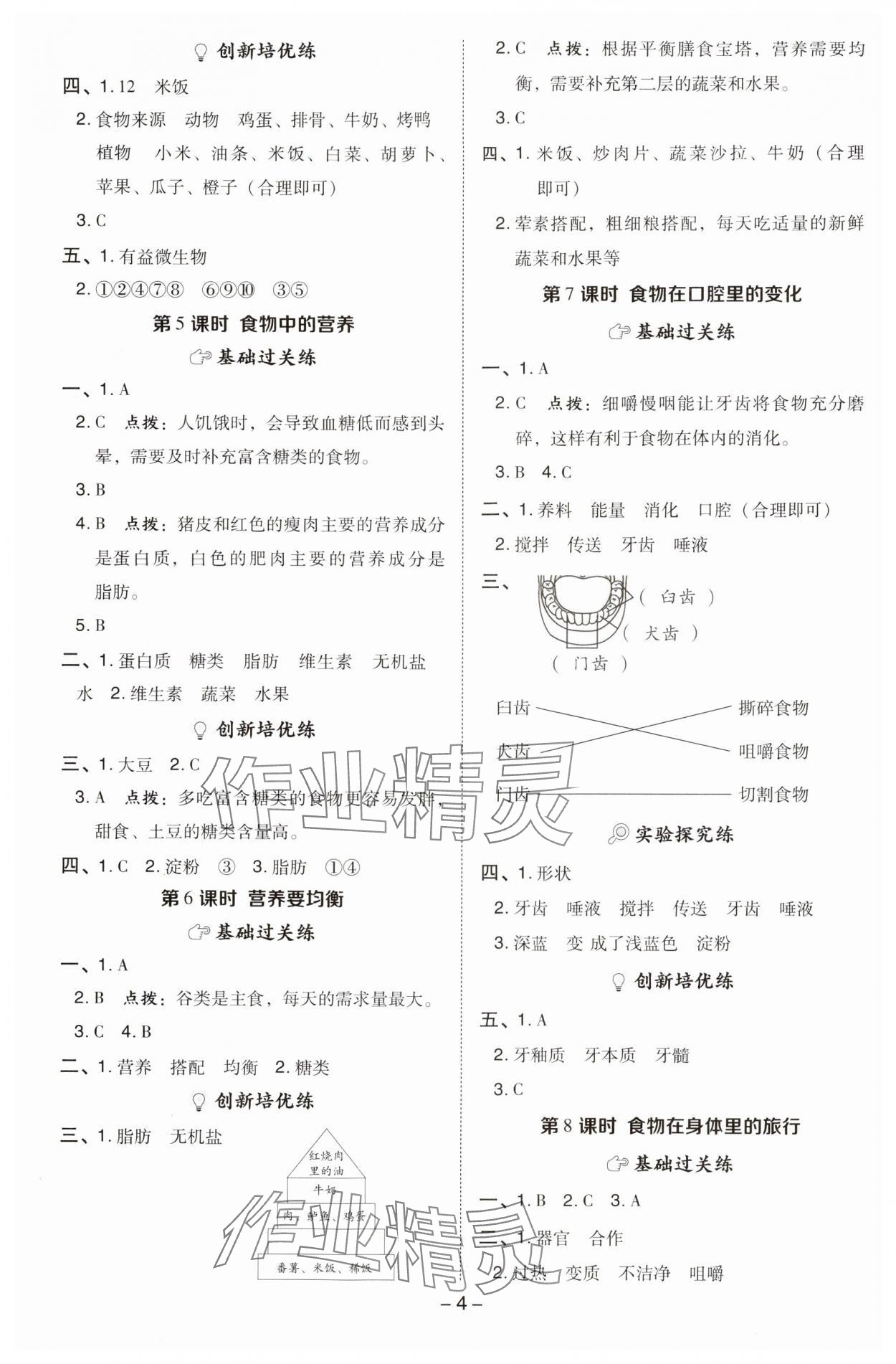 2024年綜合應(yīng)用創(chuàng)新題典中點四年級科學(xué)上冊教科版 參考答案第4頁