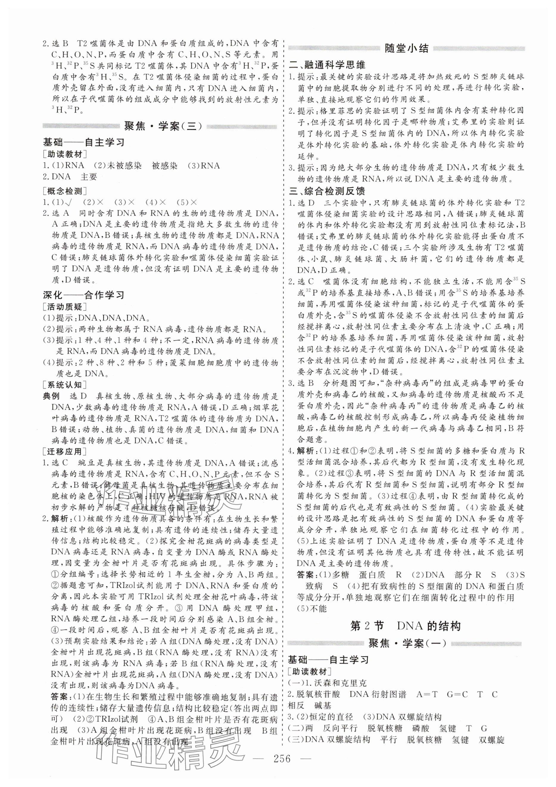 2024年新課程學案高中同步導學高中生物必修2人教版 參考答案第16頁