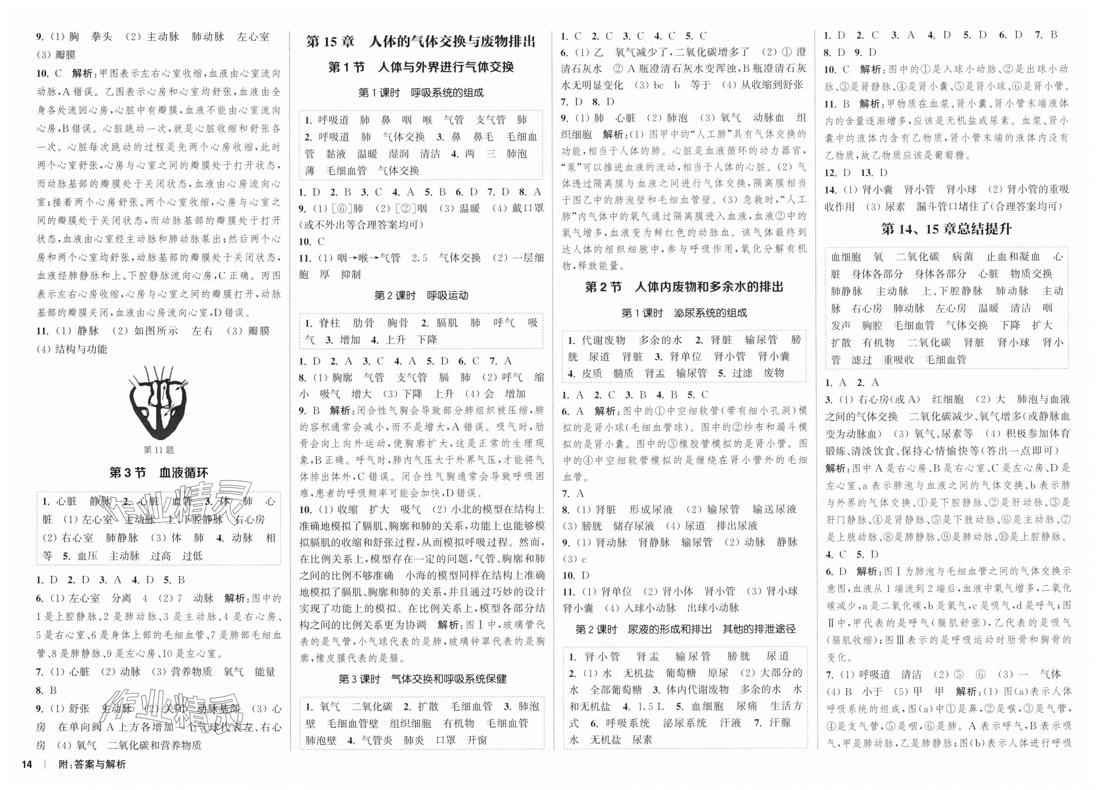 2025年通城学典课时作业本八年级生物上册苏科版 第2页