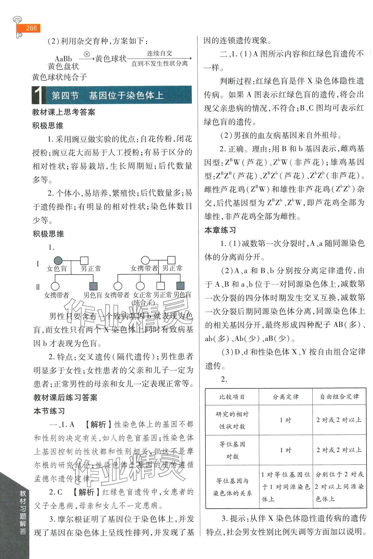 2024年教材課本高中生物必修2蘇教版 第3頁