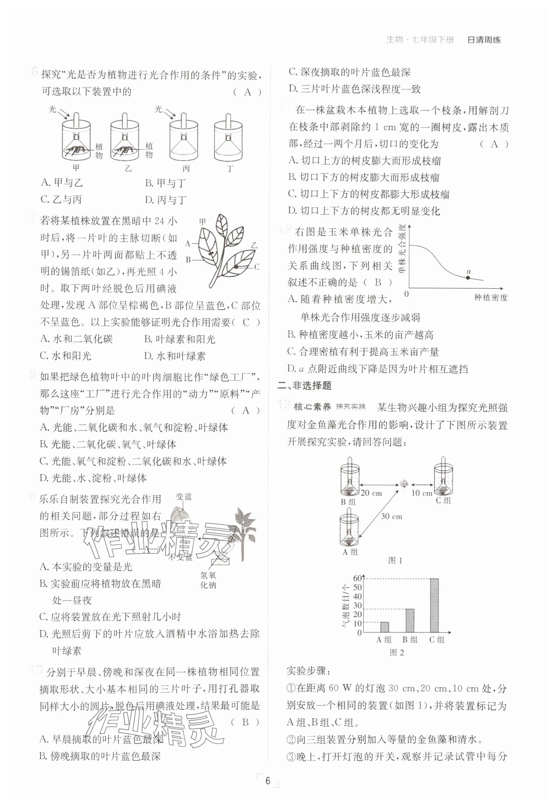 2025年日清周練七年級生物下冊人教版 參考答案第6頁