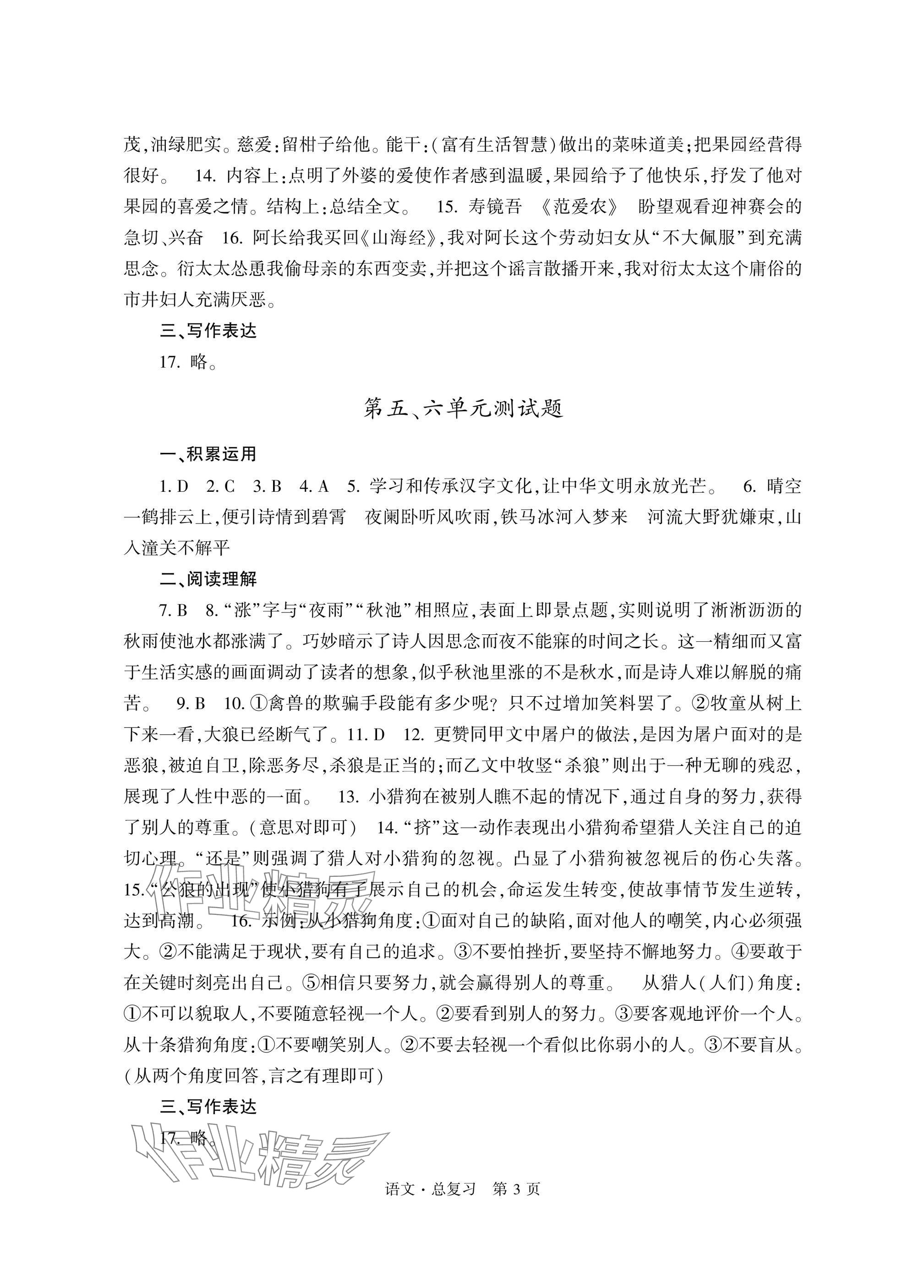 2025年自主学习指导课程总复习语文 参考答案第3页