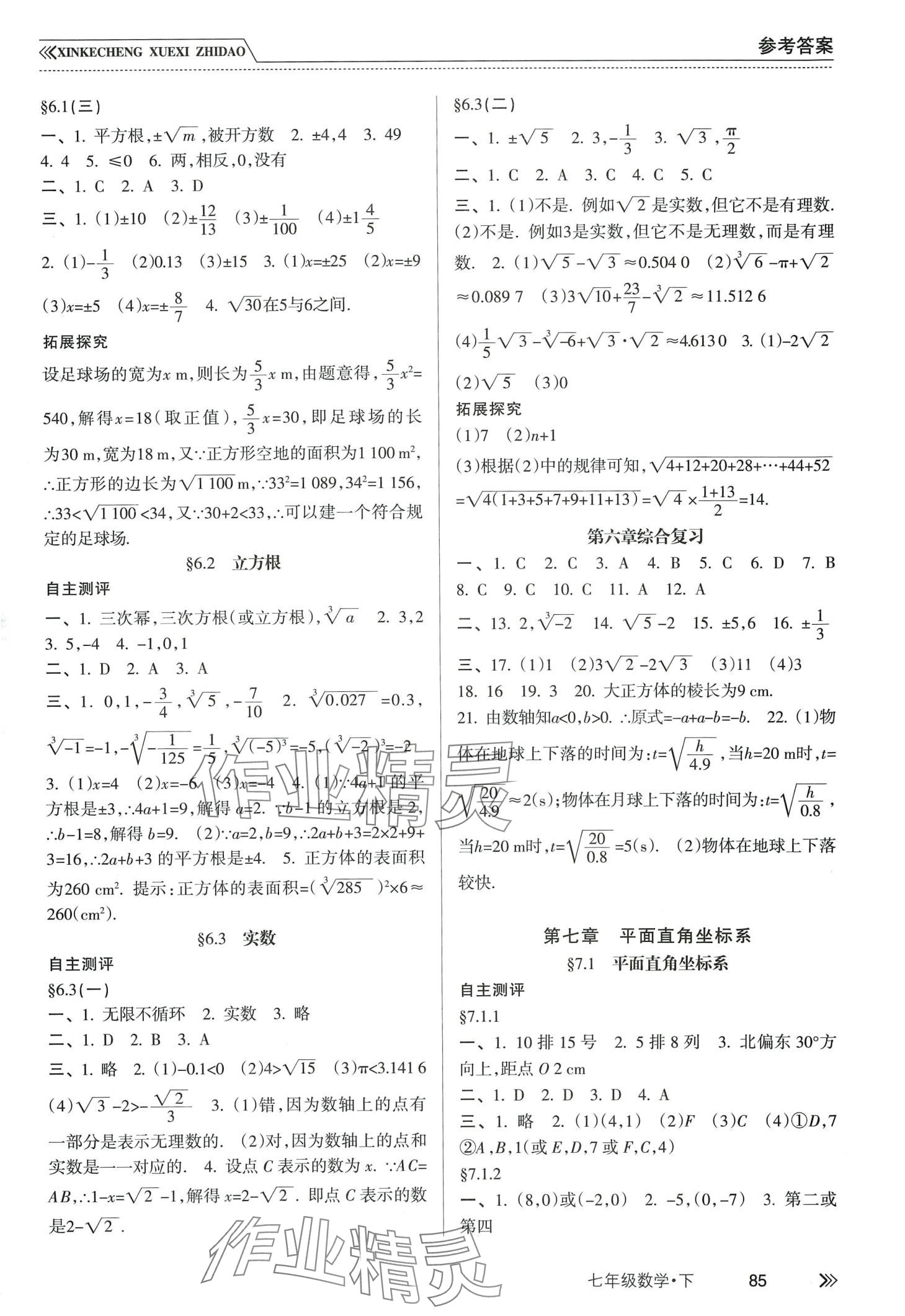 2024年新课程学习指导南方出版社七年级数学下册人教版 第3页