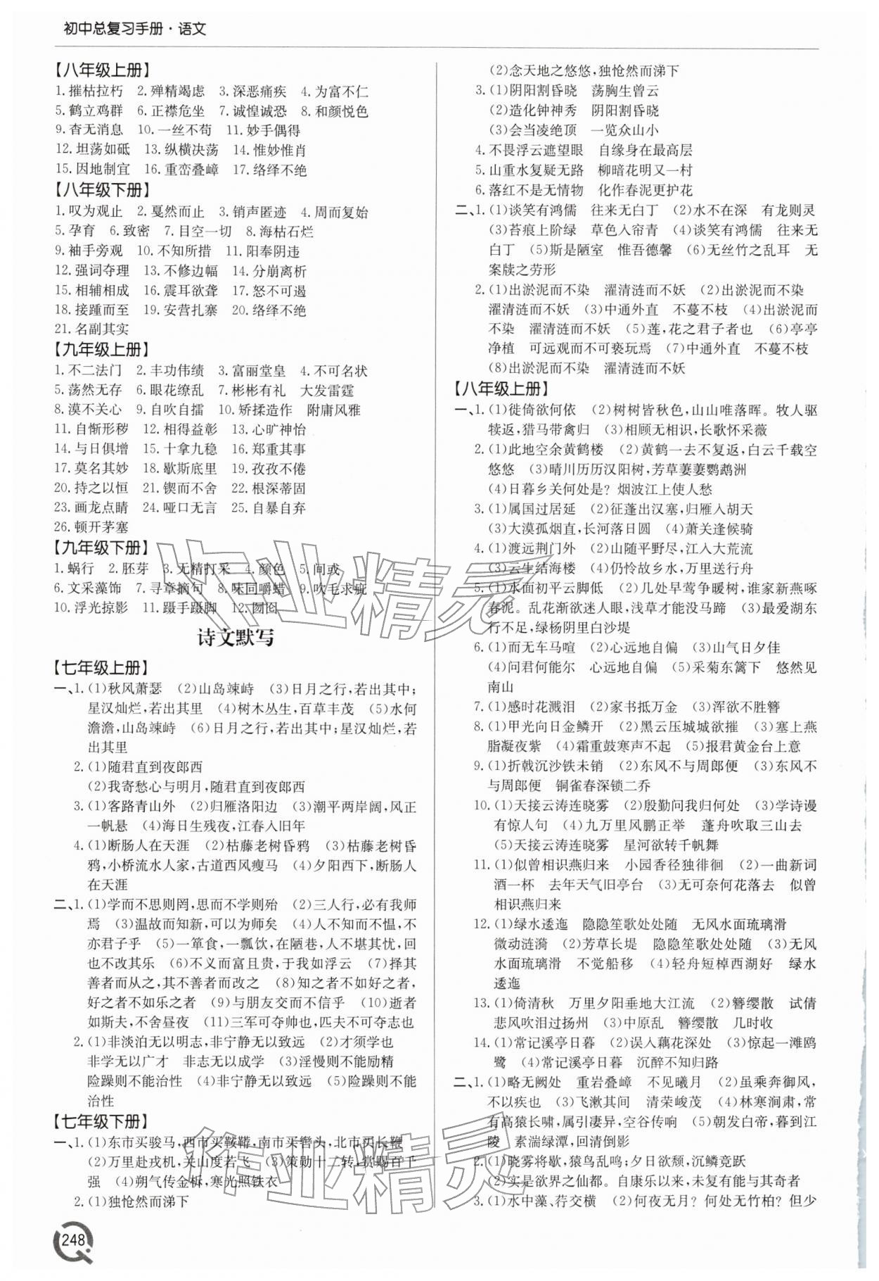 2026年初中总复习手册语文青岛出版社 第2页