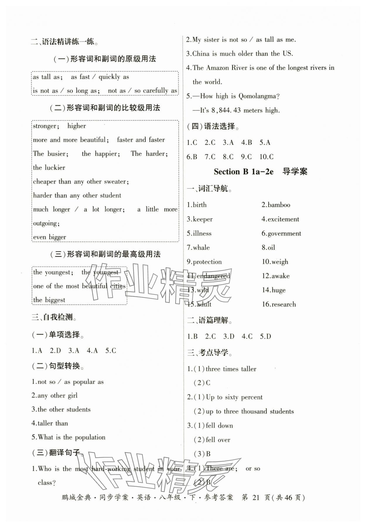 2025年名師幫同步學案八年級英語下冊人教版 參考答案第21頁