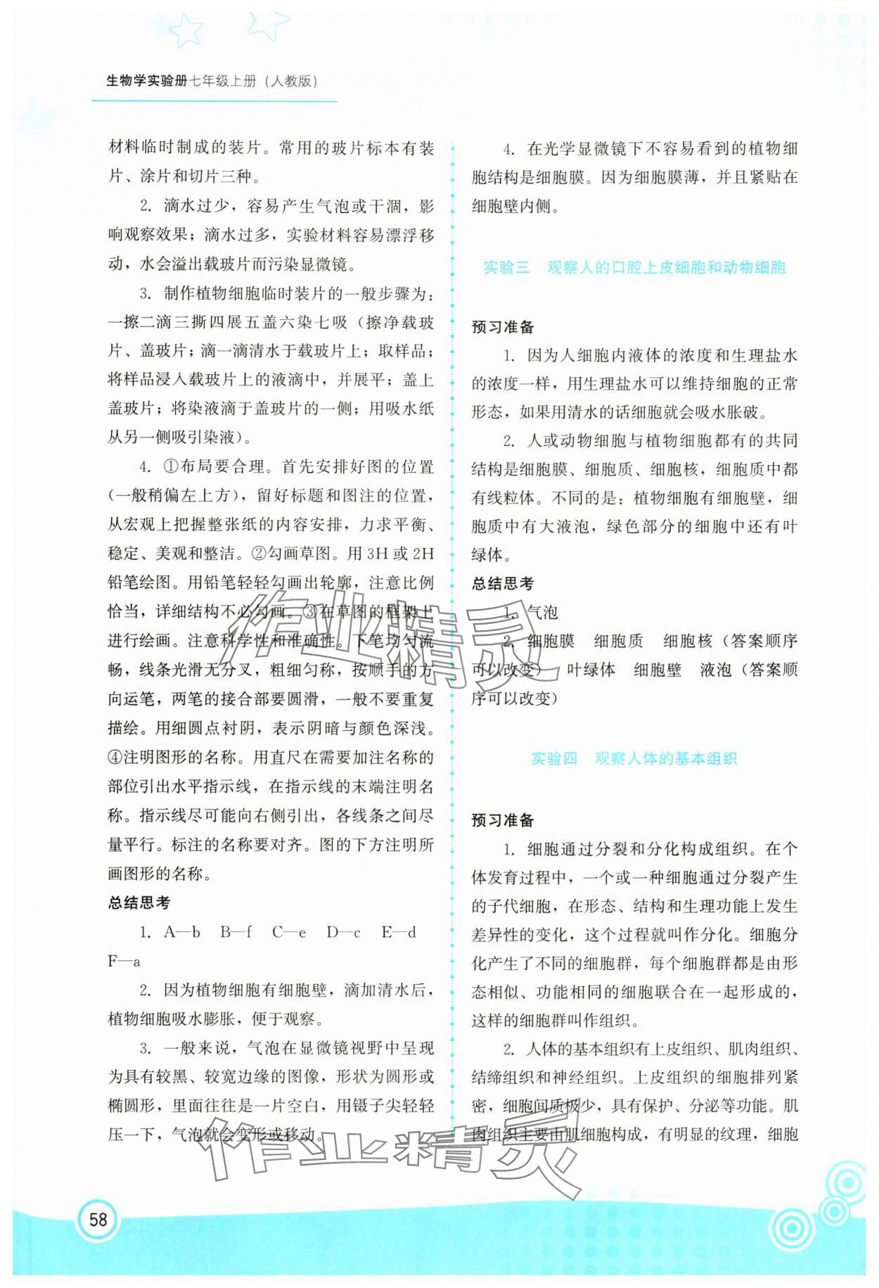 2025年生物实验册七年级生物上册人教版 第2页