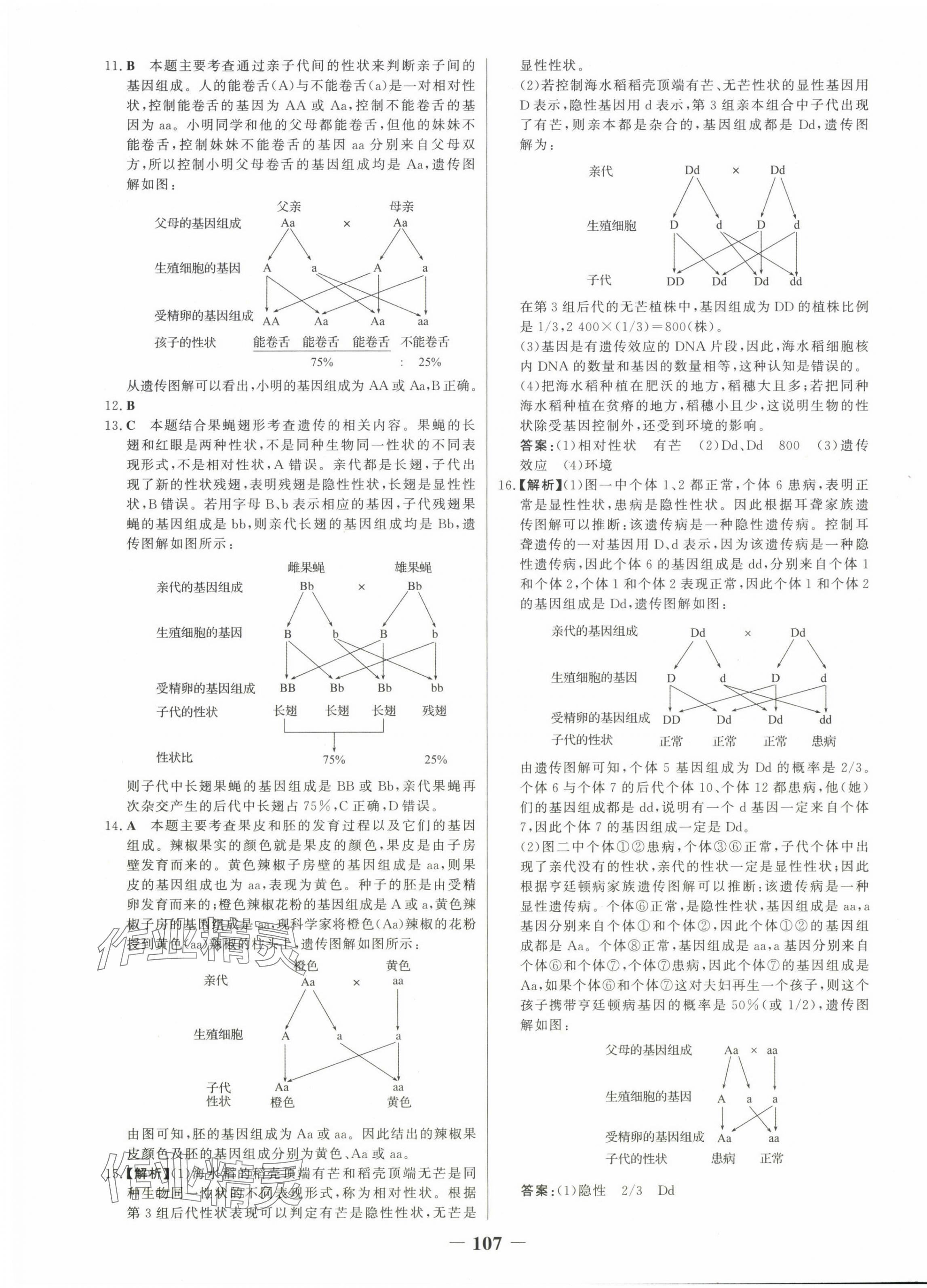 2024年世紀金榜金榜學案八年級生物下冊人教版 第7頁