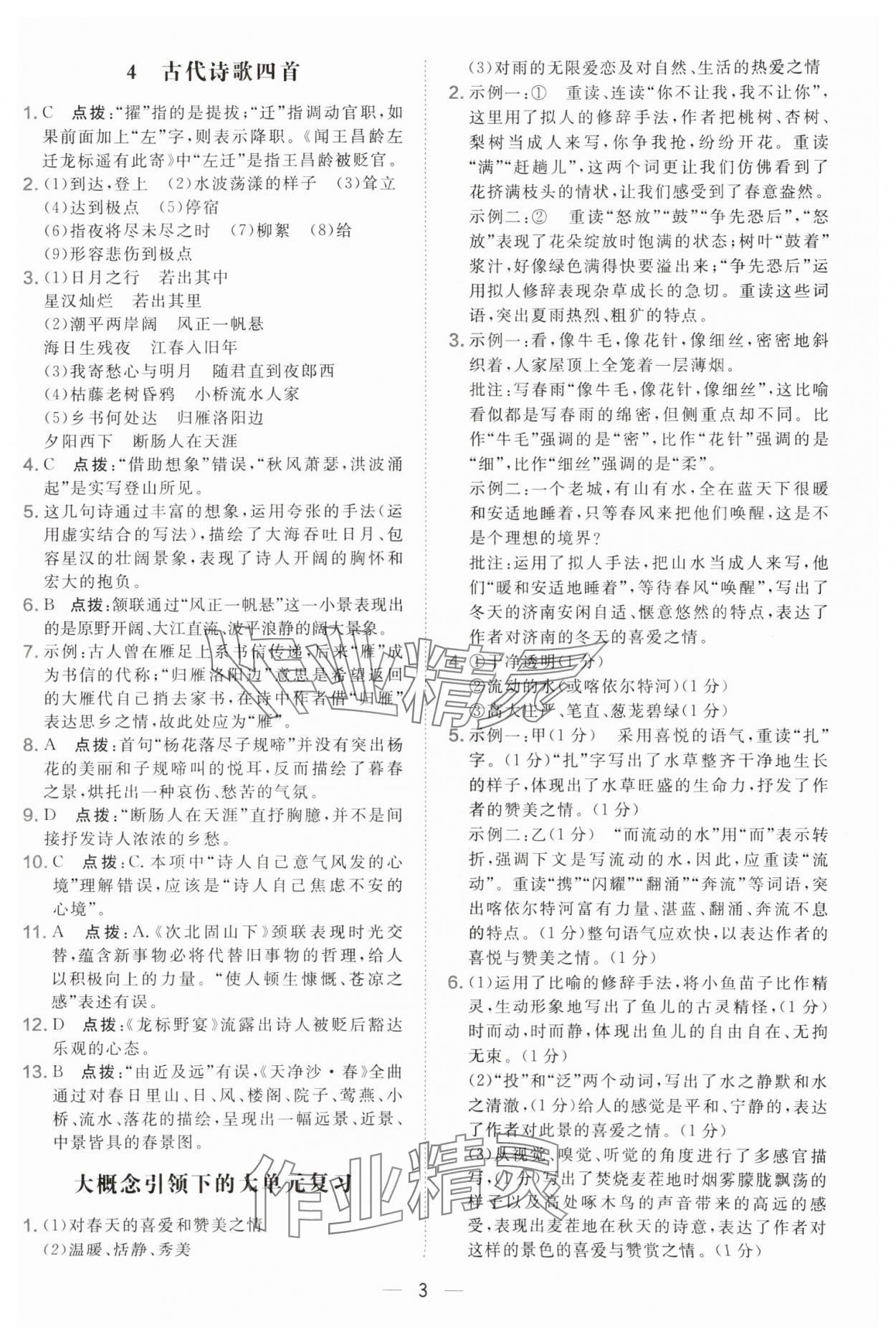 2025年點撥訓(xùn)練七年級語文上冊人教版遼寧專版 參考答案第3頁
