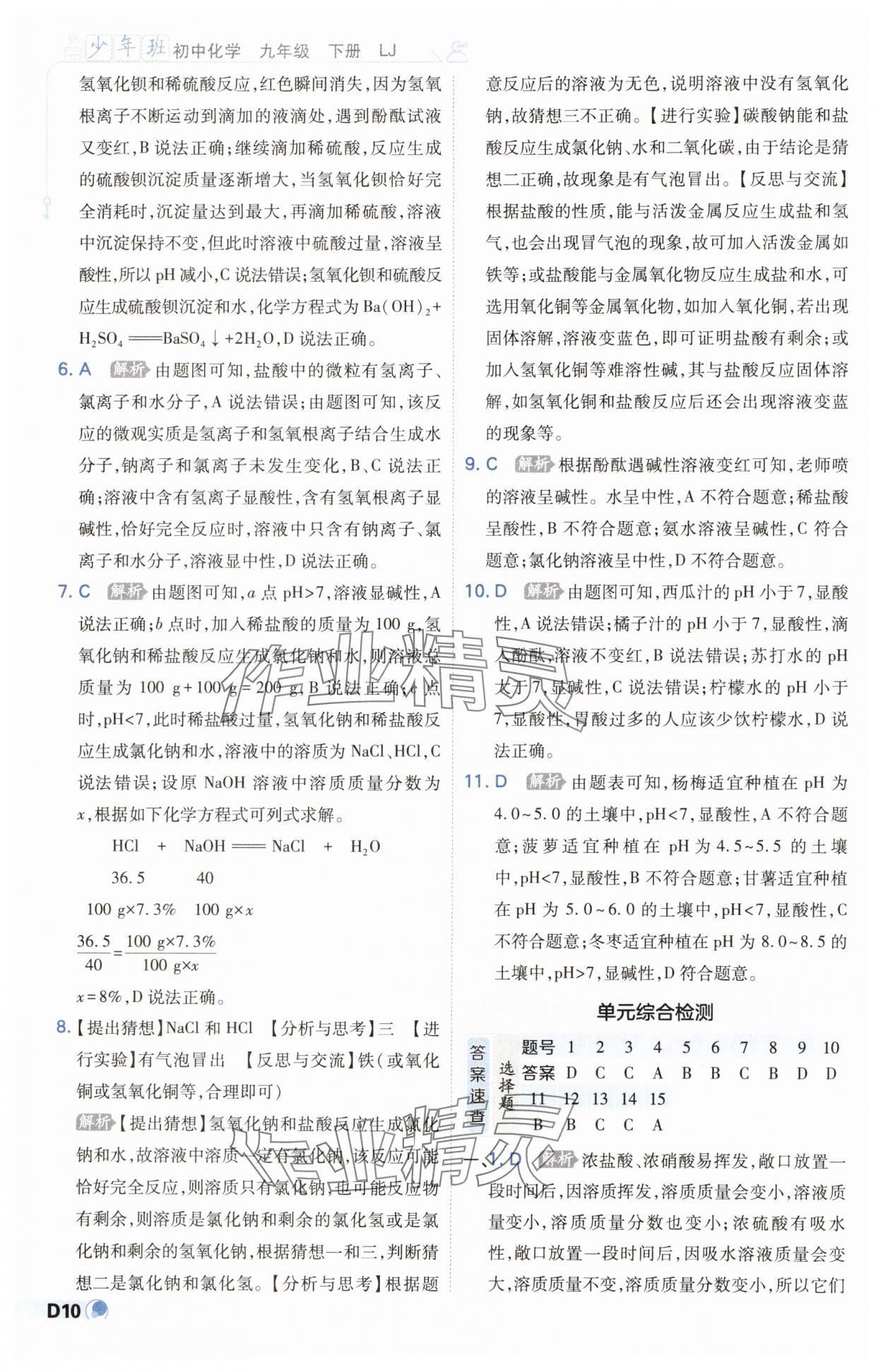 2025年少年班九年級化學下冊魯教版 參考答案第10頁