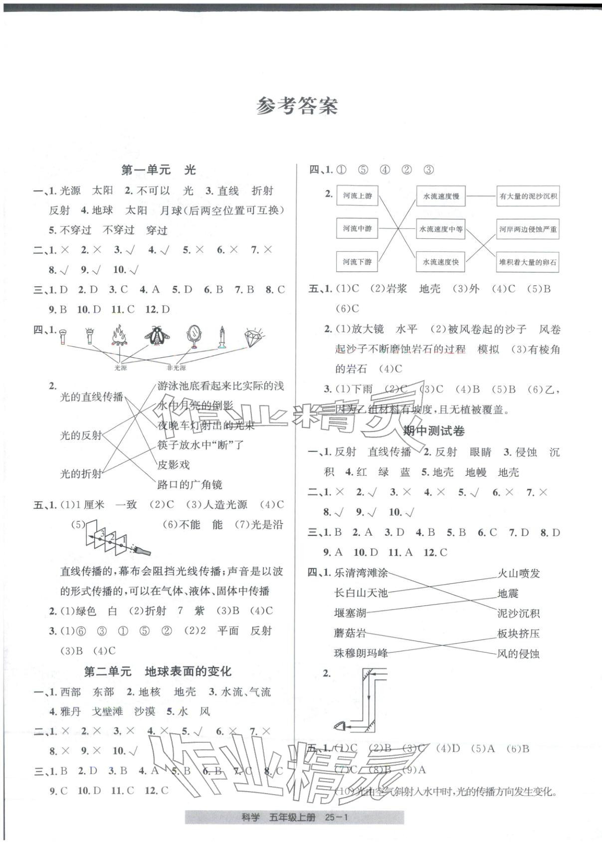2025年期末直通車五年級科學上冊教科版&nbsp;第1頁