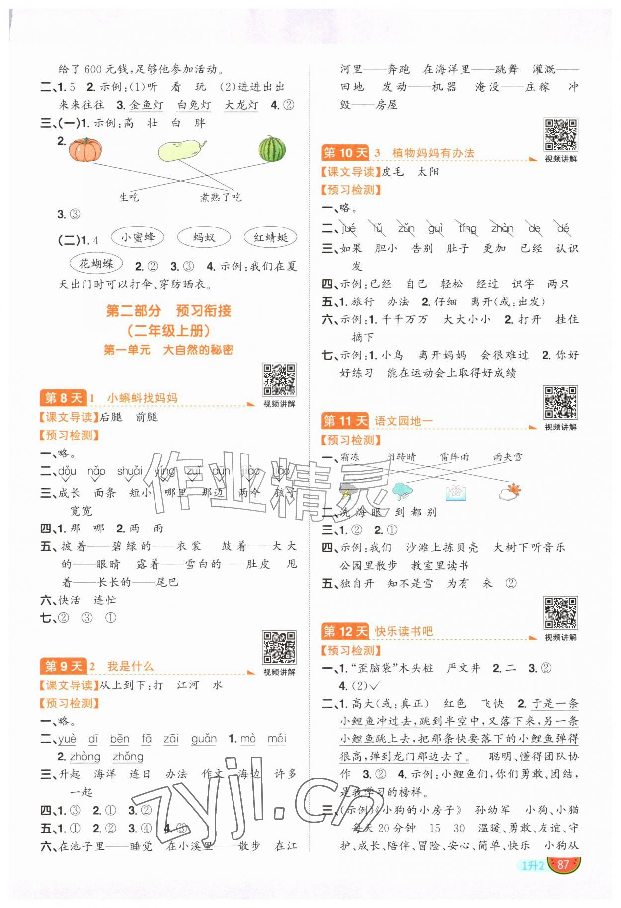 2026年阳光同学暑假衔接一升二年级语文人教版&nbsp;参考答案第2页