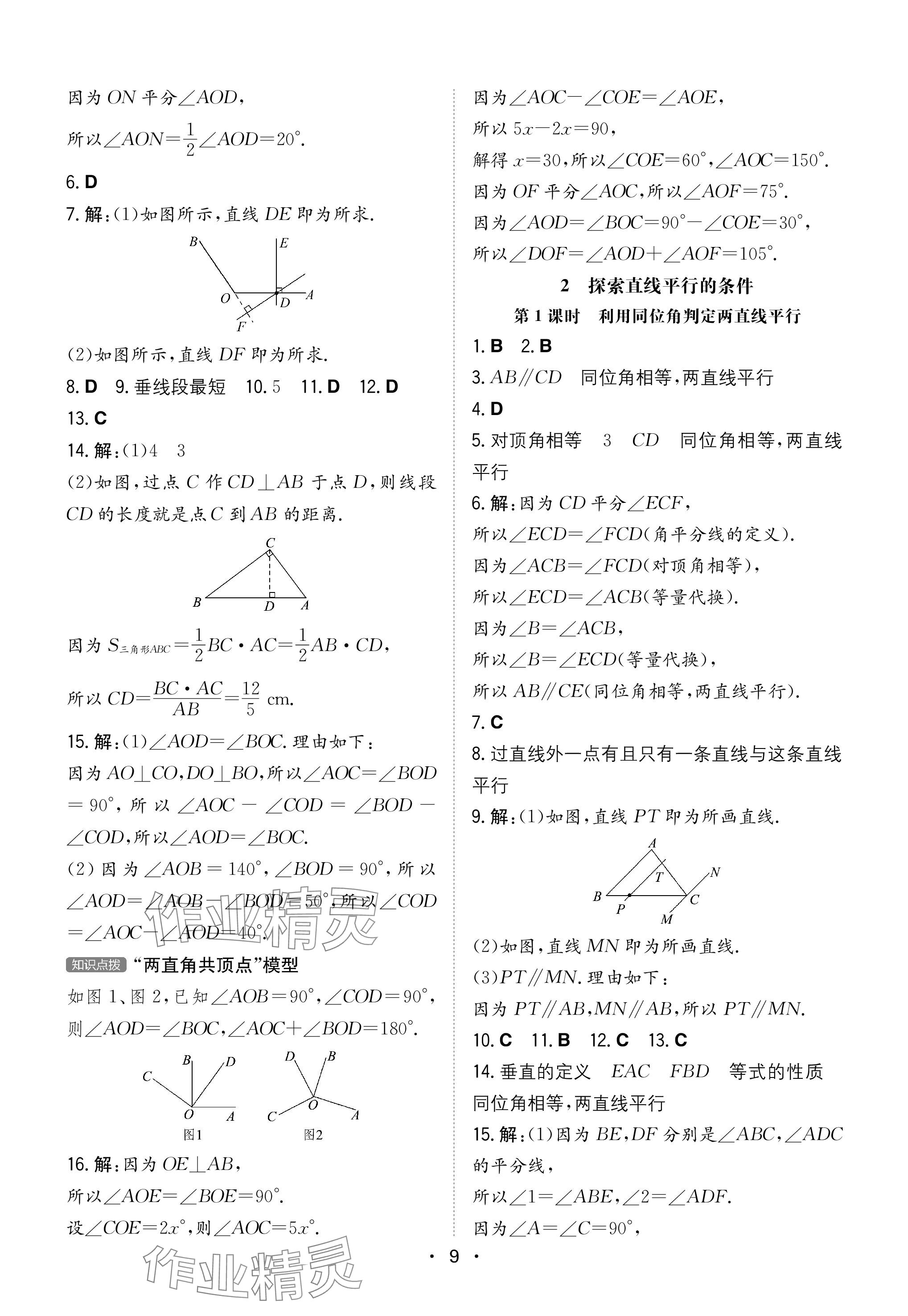 2024年一本同步訓(xùn)練七年級初中數(shù)學(xué)下冊北師大版 參考答案第9頁