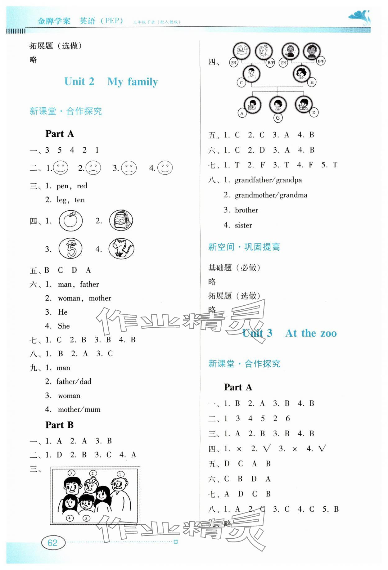 2024年南方新課堂金牌學(xué)案三年級英語下冊人教版 參考答案第2頁