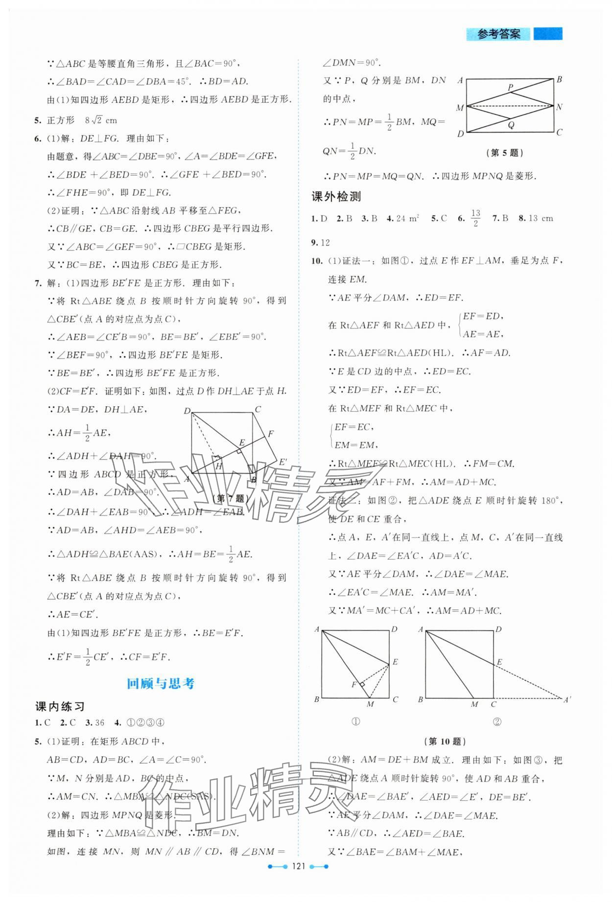 2024年伴你学北京师范大学出版社九年级数学上册北师大版 第5页