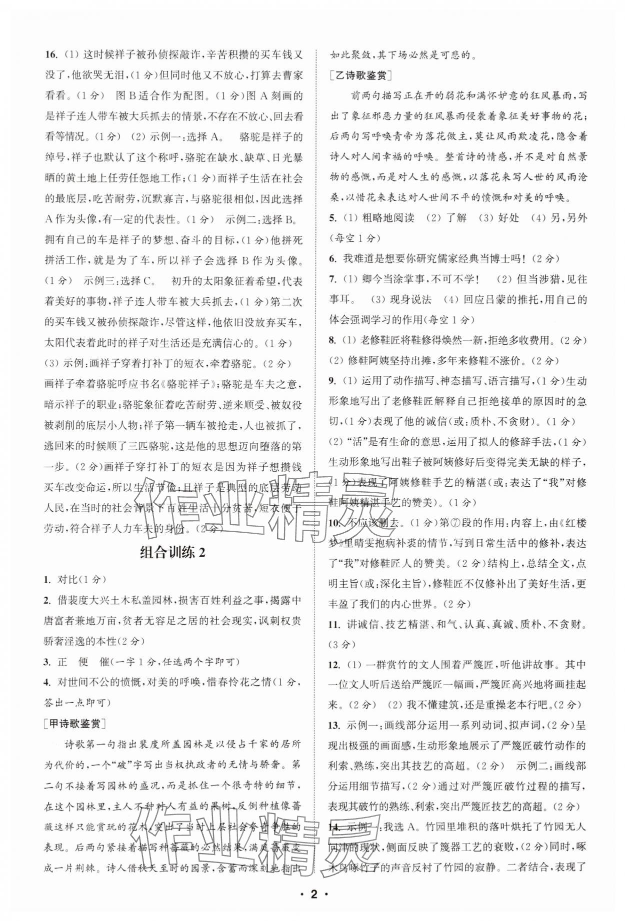 2025年通城學(xué)典組合訓(xùn)練七年級(jí)語(yǔ)文下冊(cè)人教版蘇州專版 參考答案第2頁(yè)