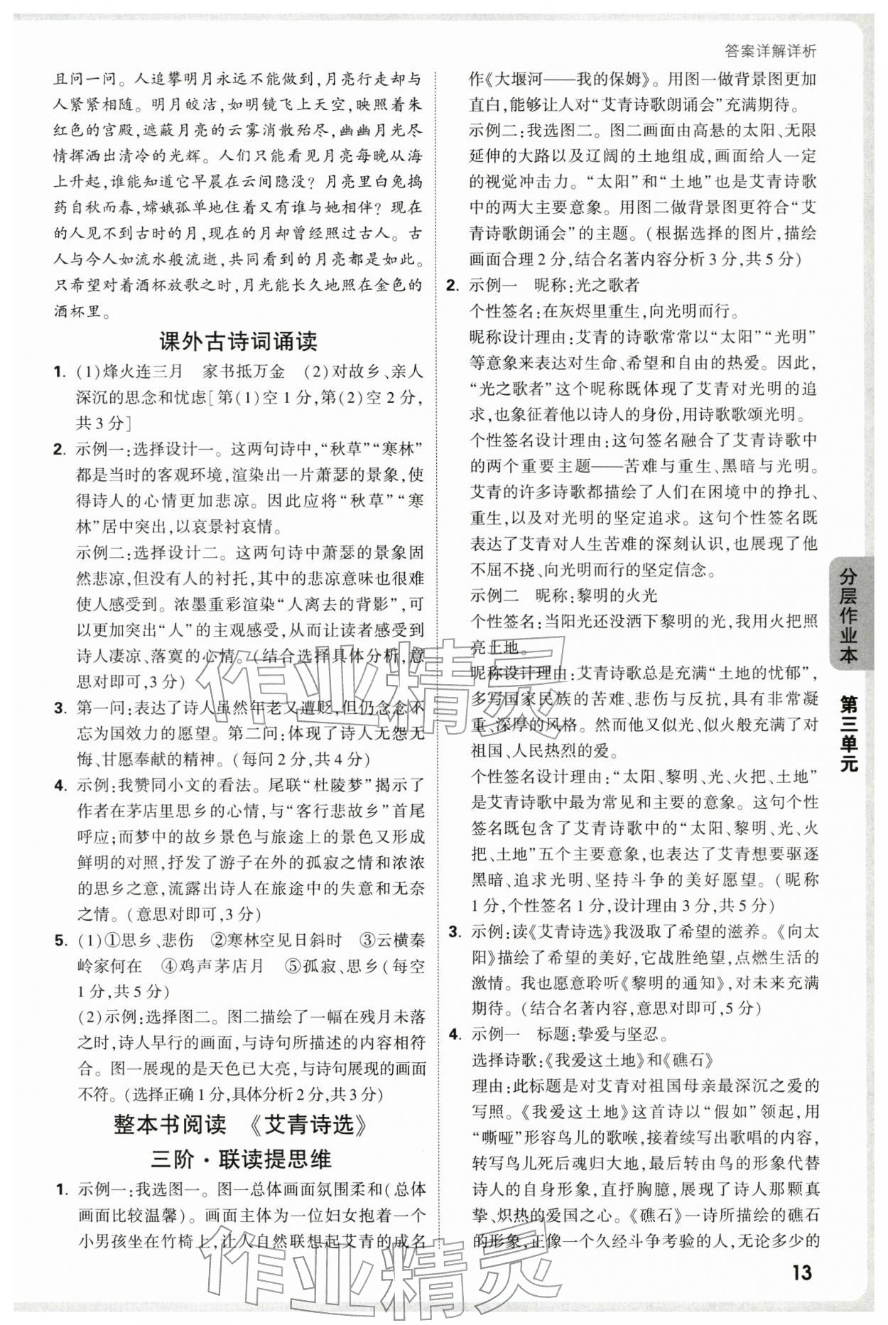 2025年情境題與中考新考法九年級(jí)語文全一冊(cè)人教版河南專版 第13頁
