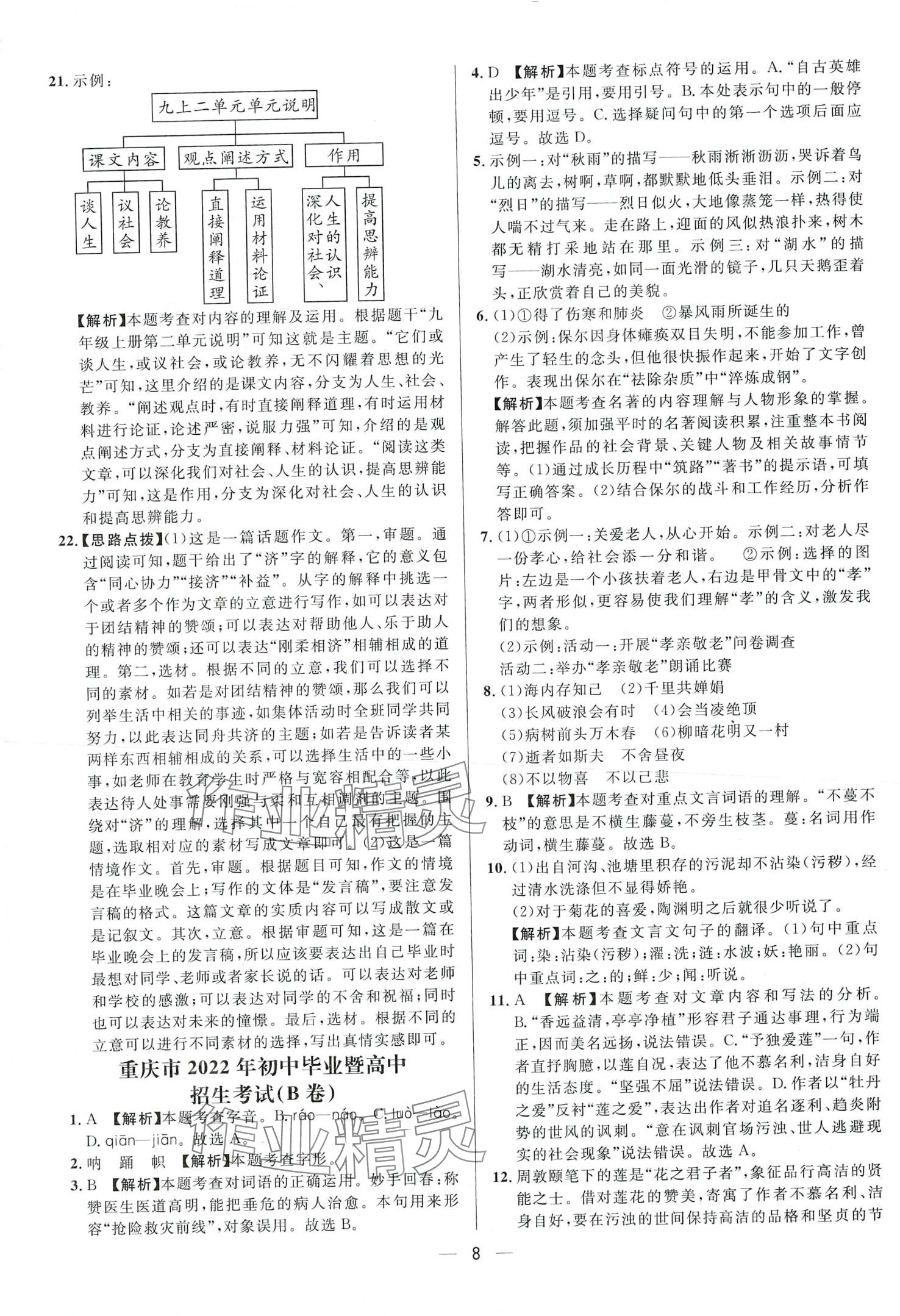 2024年中考必備南海出版公司語(yǔ)文重慶專版 第10頁(yè)