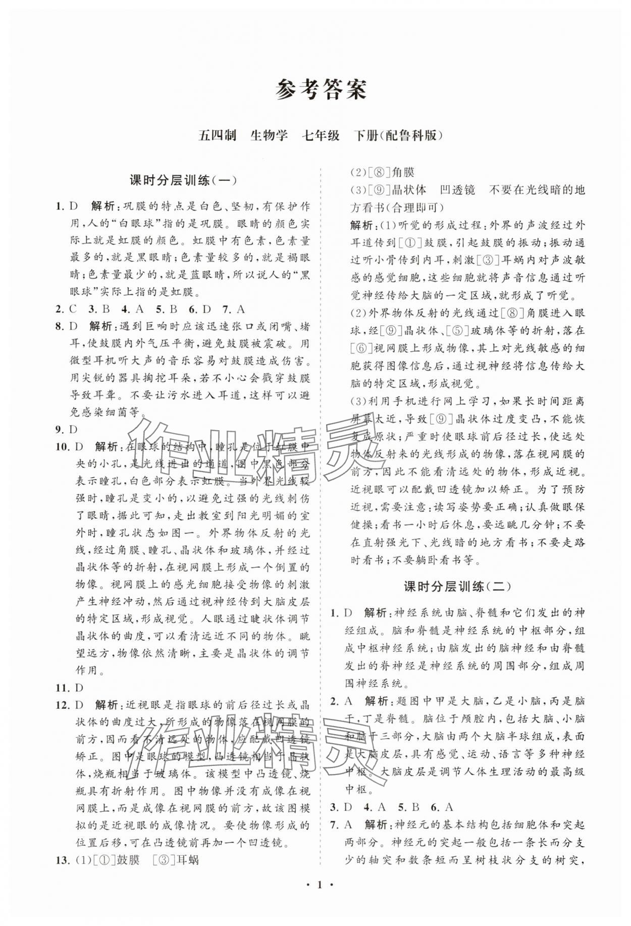 2025年同步练习册分层卷七年级生物下册鲁科版54制 参考答案第1页