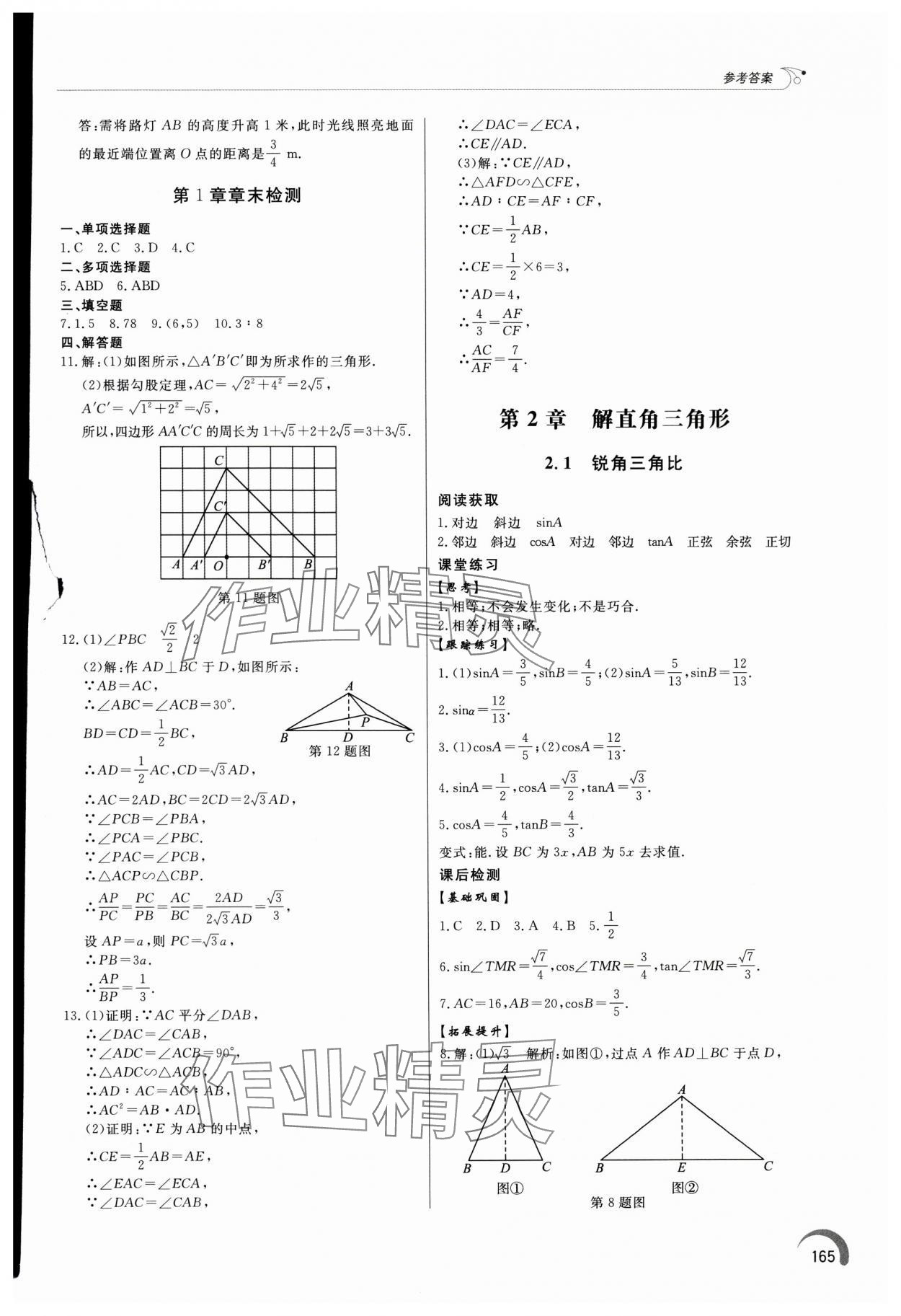 2024年同步练习册泰山出版社九年级数学上册青岛版 参考答案第6页