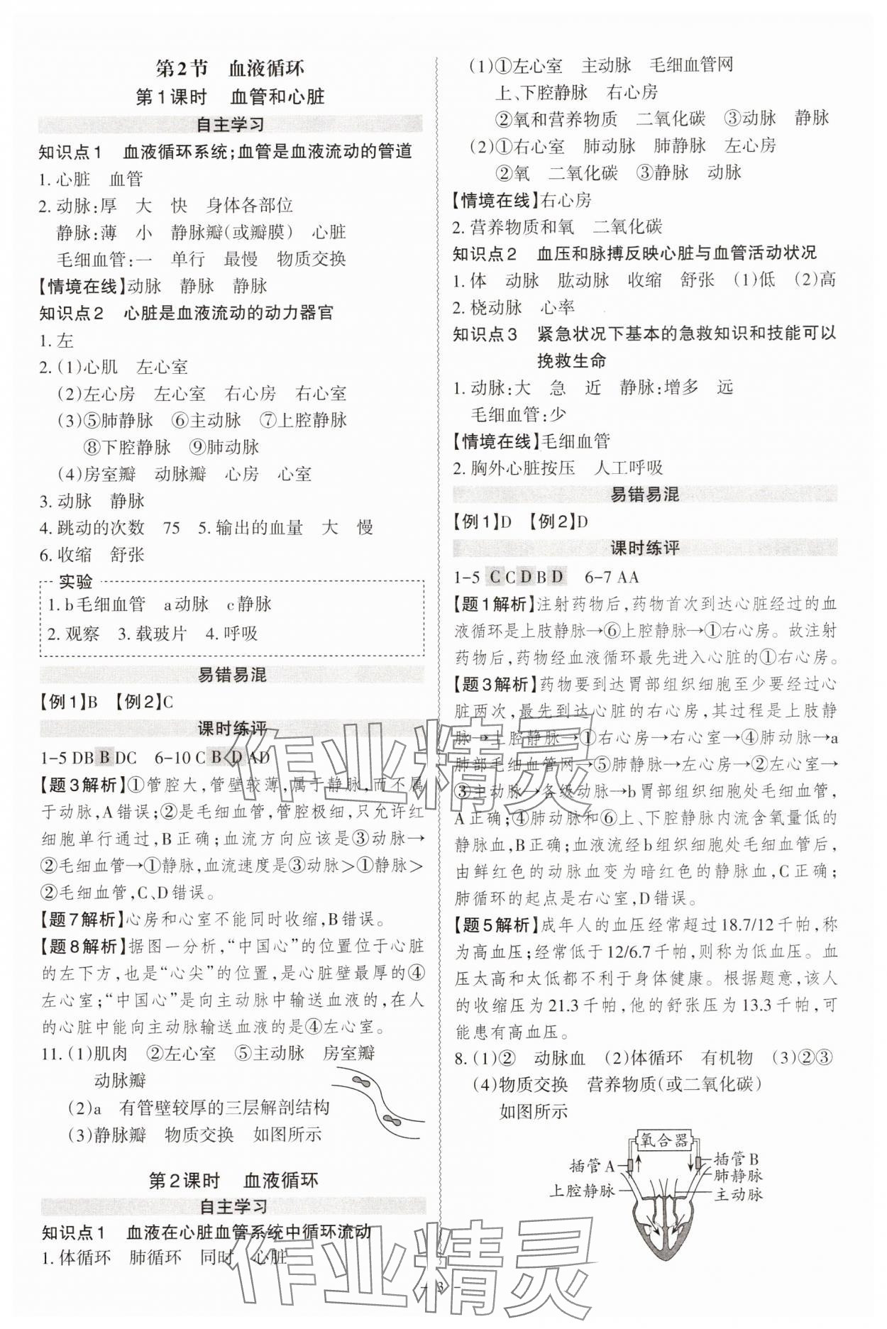 2025年同步沖刺七年級生物下冊北師大版 第3頁