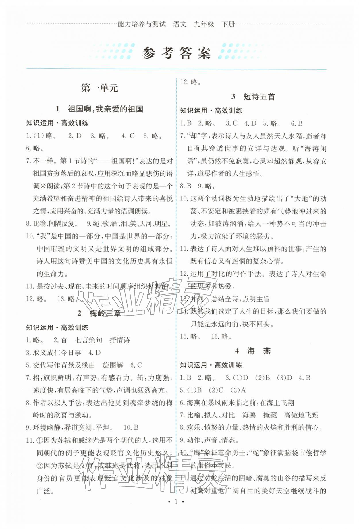 2026年能力培养与测试九年级语文下册人教版湖南专版&nbsp;第1页