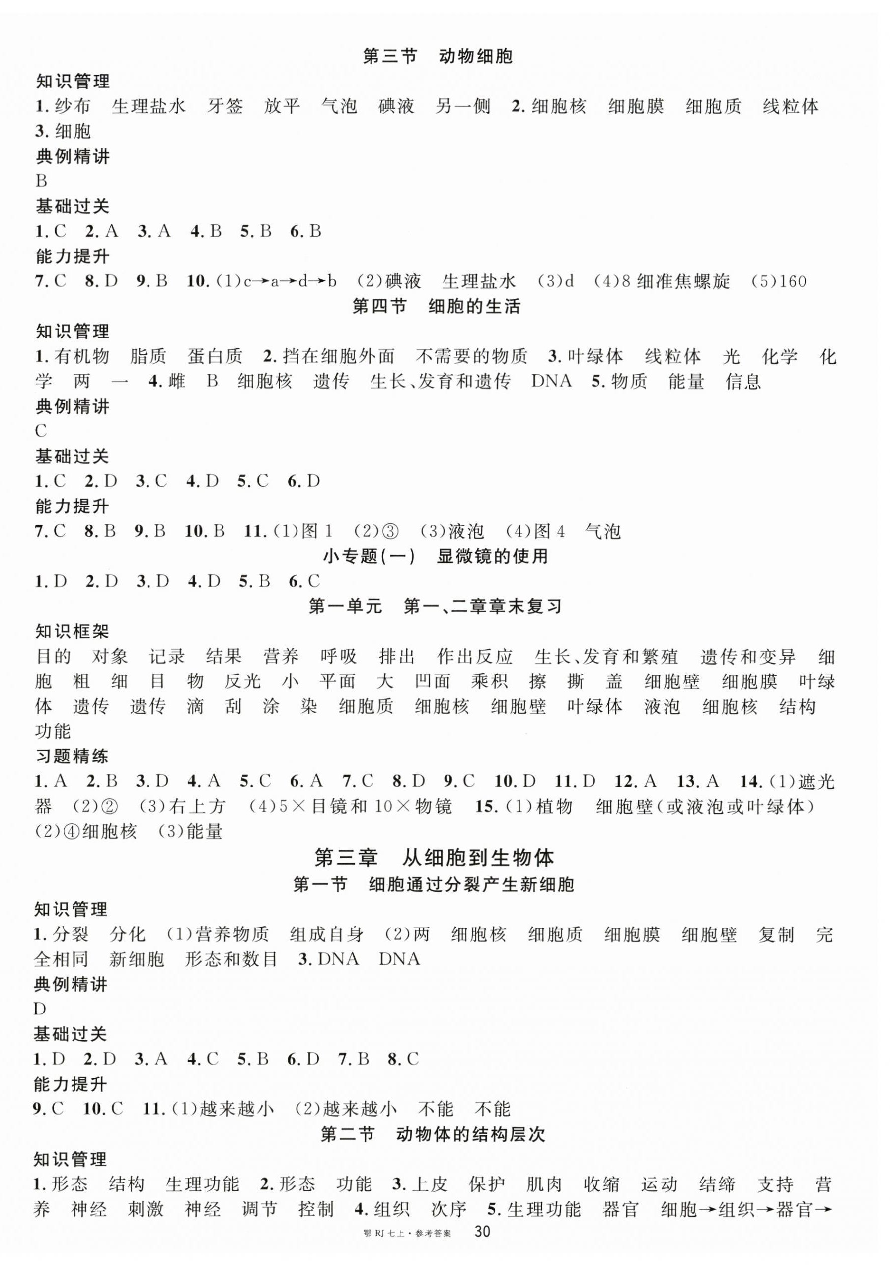 2025年名校课堂七年级生物上册人教版湖北专版 第2页