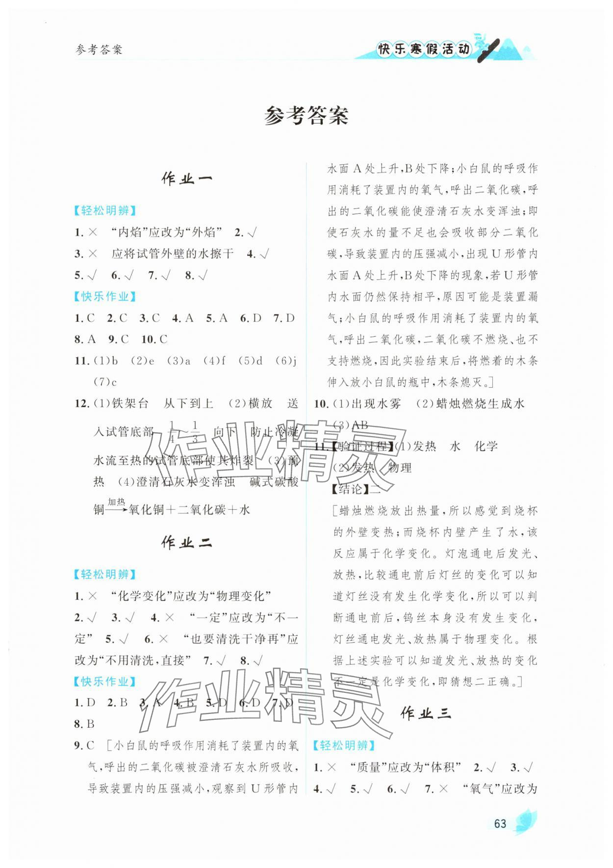 2025年快樂寒假活動九年級化學人教版 第1頁