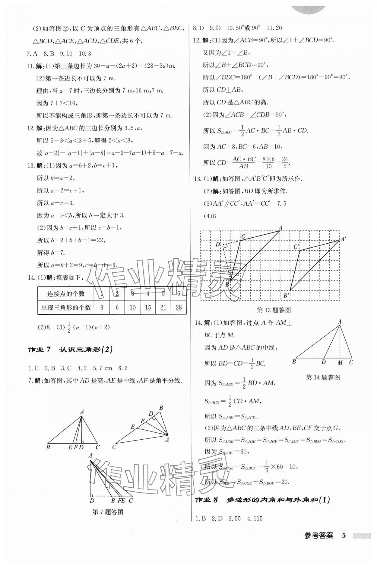 2024年启东中学作业本七年级数学下册苏科版 参考答案第5页