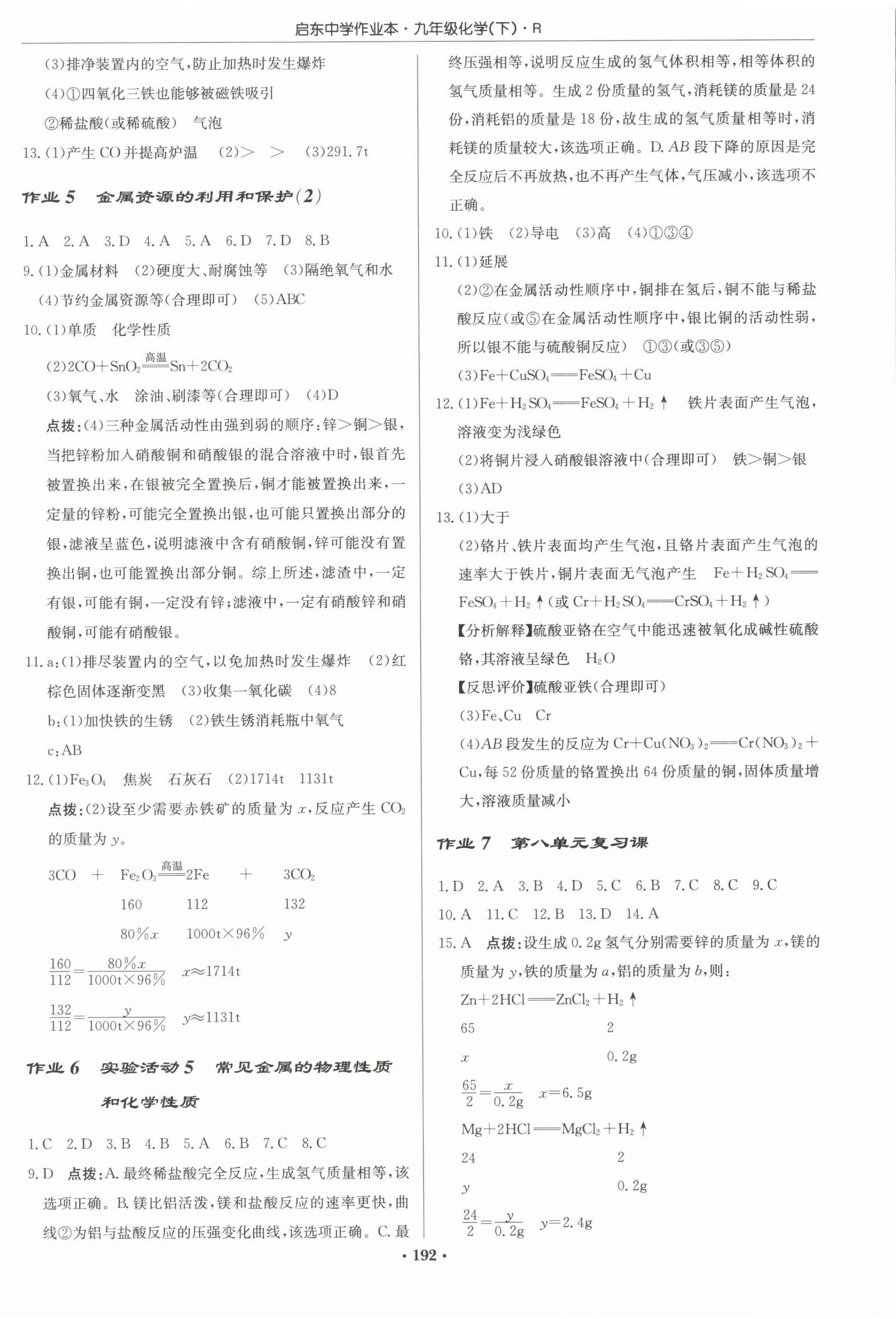 2025年啟東中學(xué)作業(yè)本九年級化學(xué)下冊人教版 第2頁