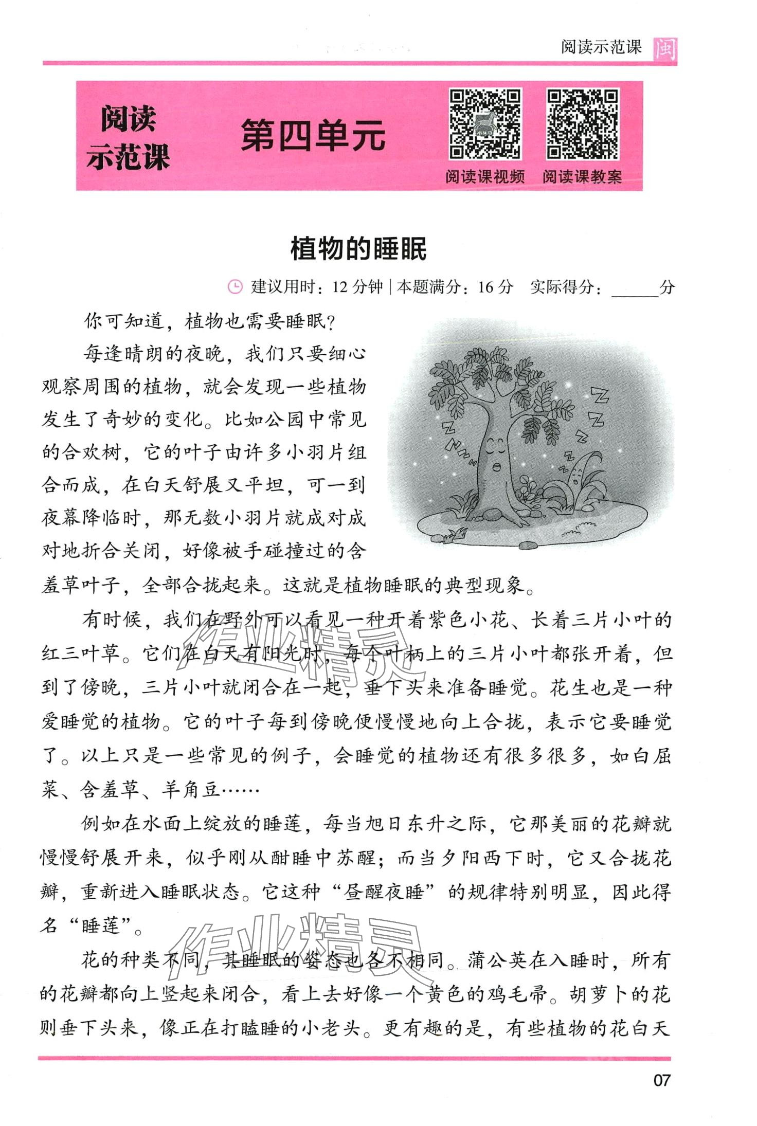 2024年木頭馬閱讀力測評三年級語文人教版發(fā)展篇B版福建專版 第7頁