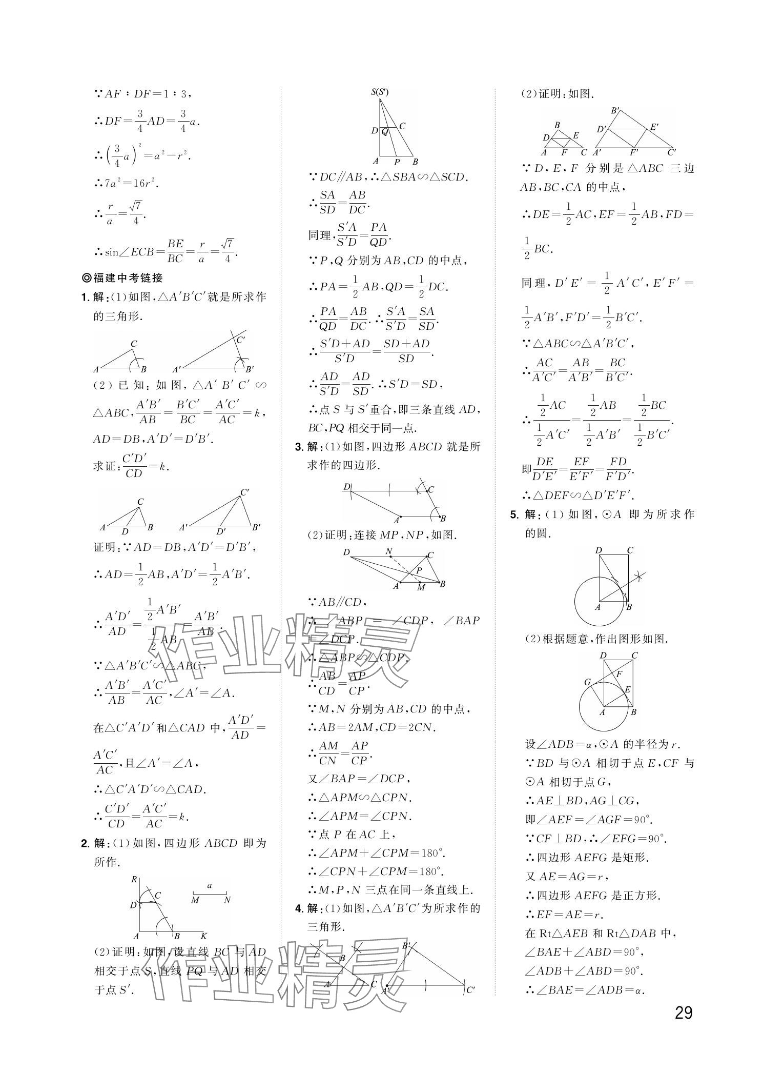 2024年陽光同學分層新中考數(shù)學福建專版 參考答案第29頁