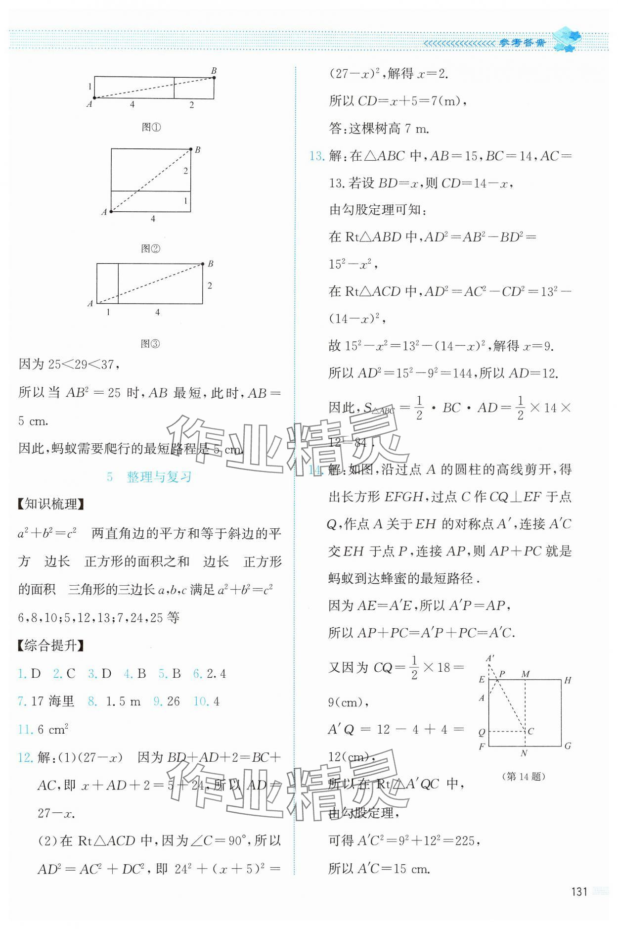 2024年课堂精练八年级数学上册北师大版 第3页