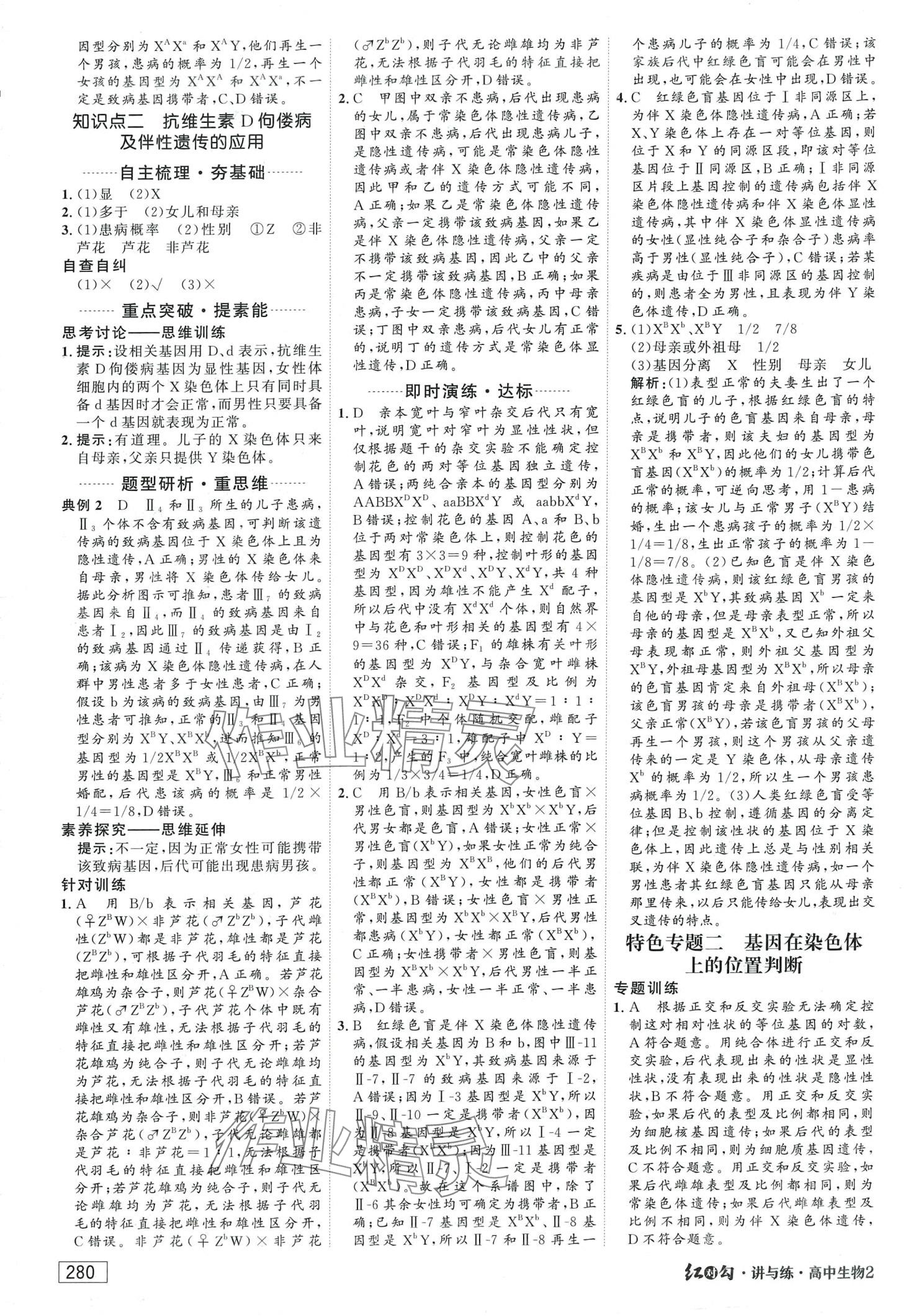 2024年红对勾讲与练高中生物必修2人教版 第10页