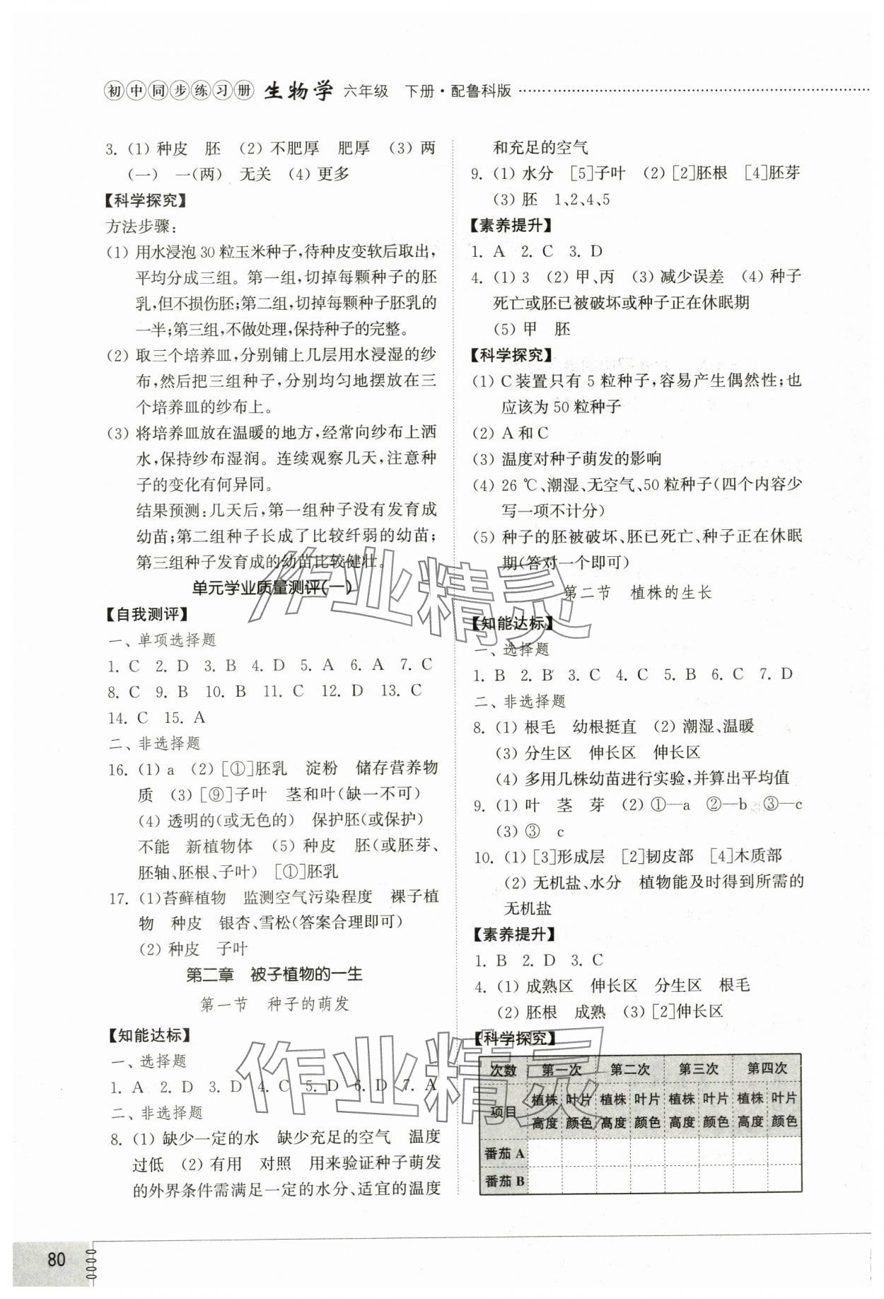 2024年同步練習(xí)冊(cè)山東教育出版社六年級(jí)生物下冊(cè)魯科版54制 第2頁(yè)