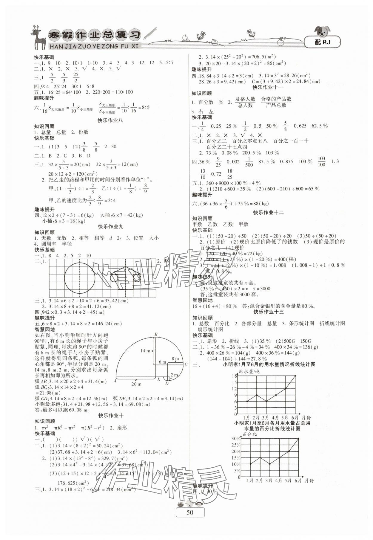 2025年快乐假期寒假作业总复习新疆青少年出版社六年级数学人教版 第2页