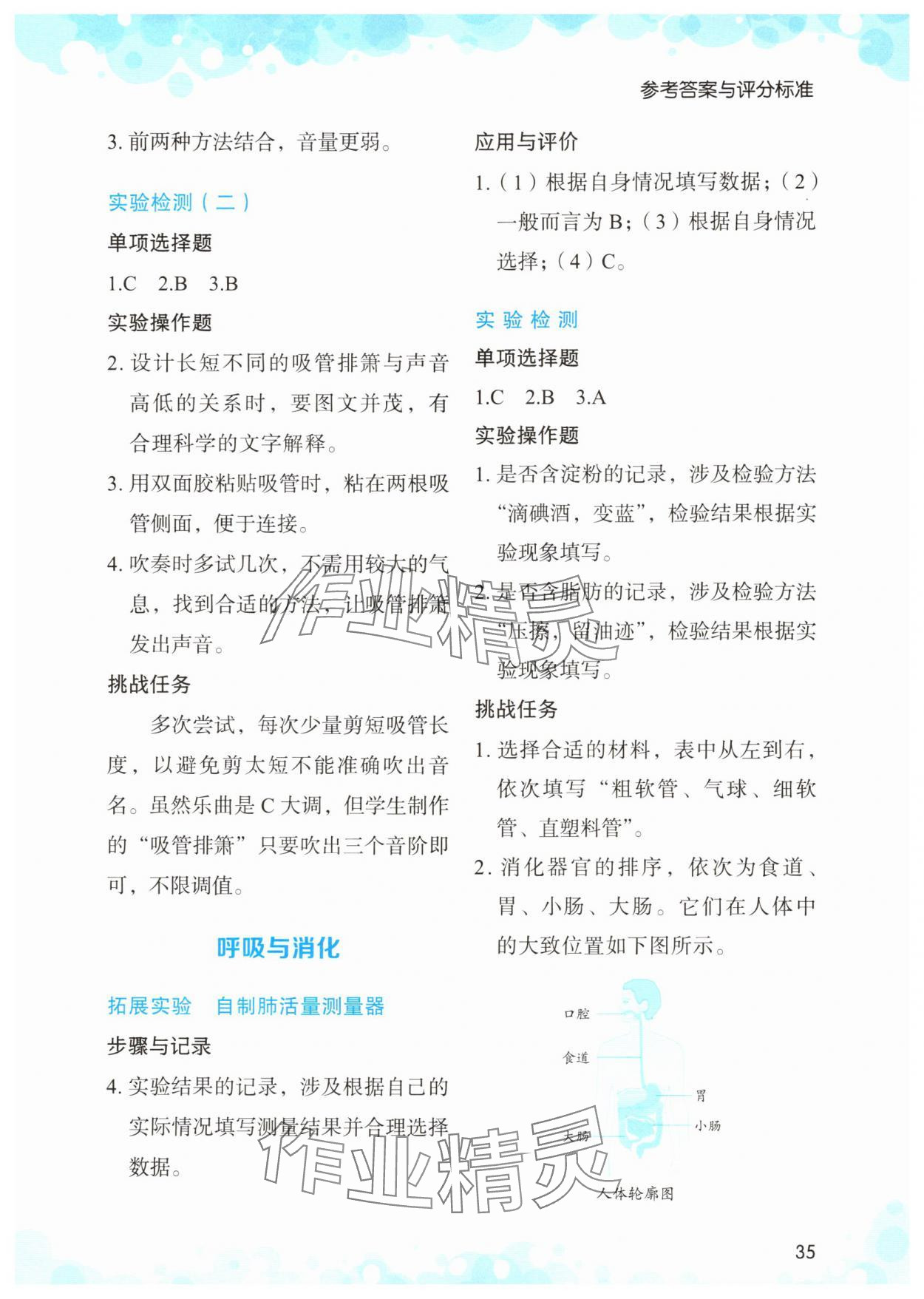 2025年小学科学实验与检测四年级上册教科版 参考答案第2页