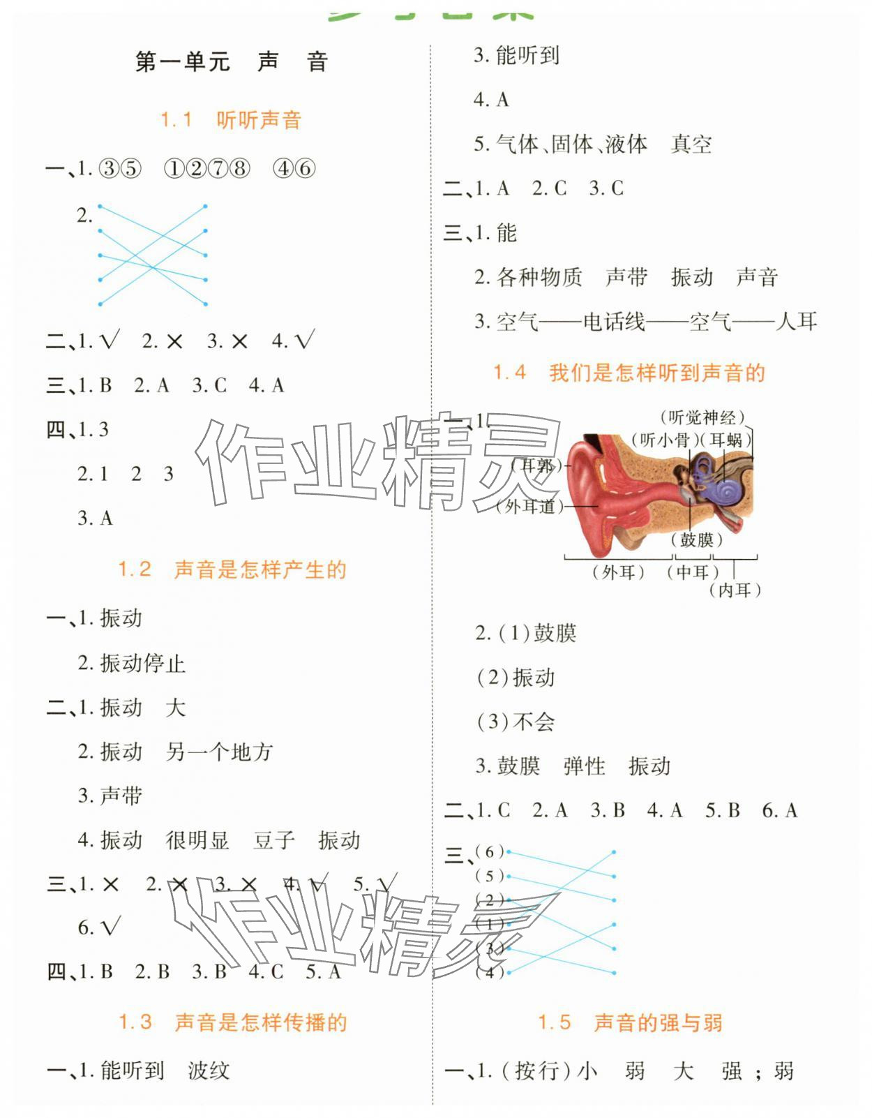 2024年黃岡同步訓(xùn)練四年級(jí)科學(xué)上冊教科版 參考答案第1頁