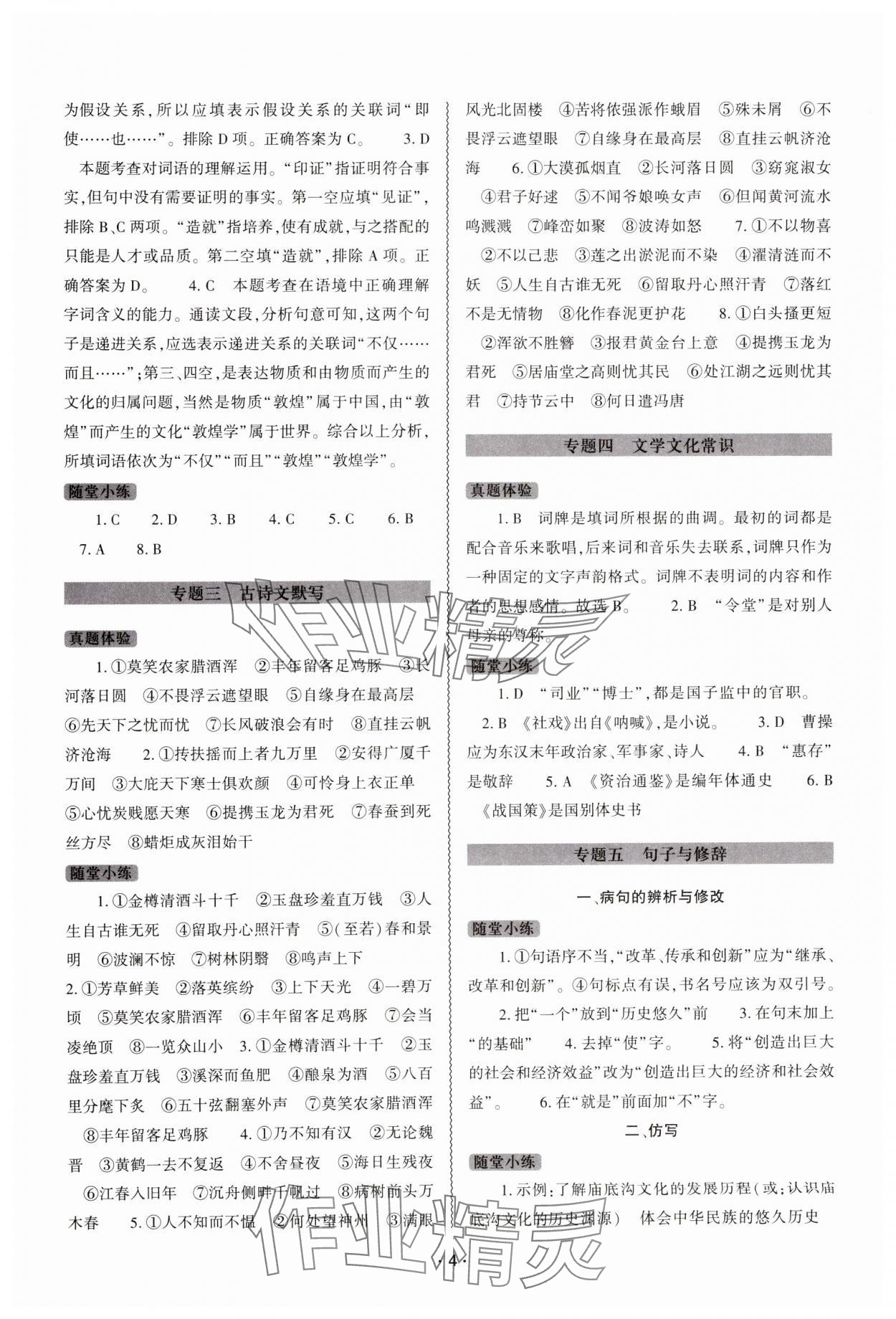 2025年中考復習精講與測試語文 第4頁