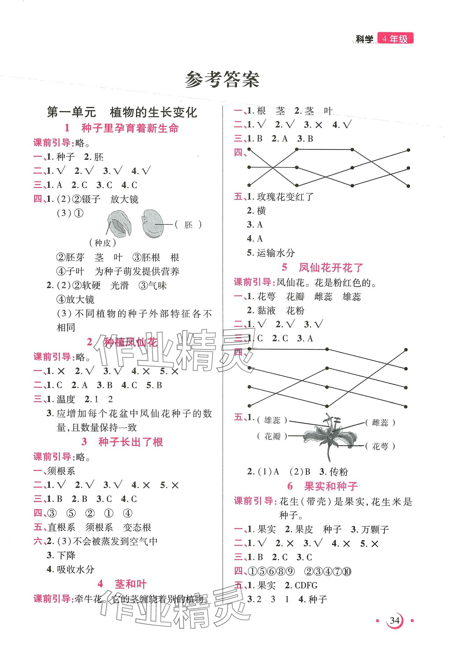 2024年纸狮子快乐作业本四年级科学下册教科版 第1页